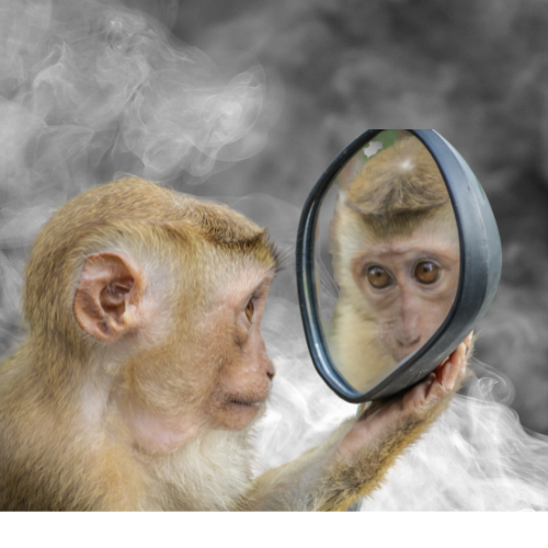 Smoke, Mirrors & Spin