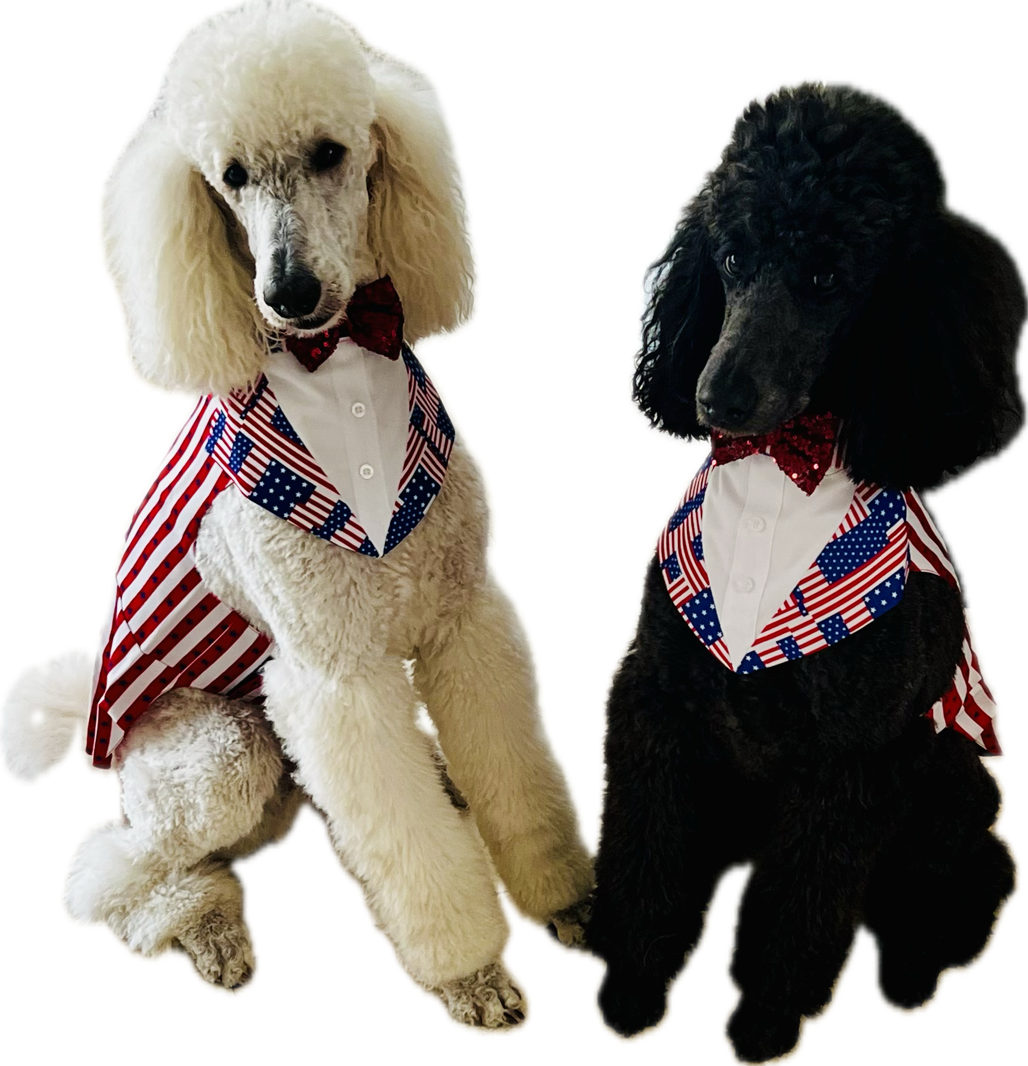 Wags &amp; Flags Parade