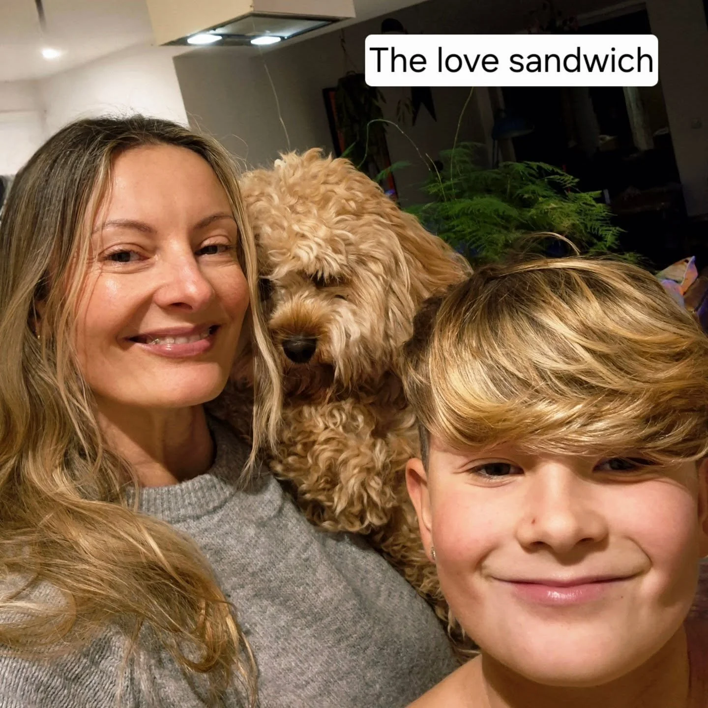 THE STUFF THAT MADE ME SMILE over the past few days.....

We are a small household - just me and T. AND BRODY THE DOG OF PURE LOVE, Dolly, the grumpy cat, eight fish and a weather Loach called Leo. 

I just deleted a whole long essay of shit....so ea