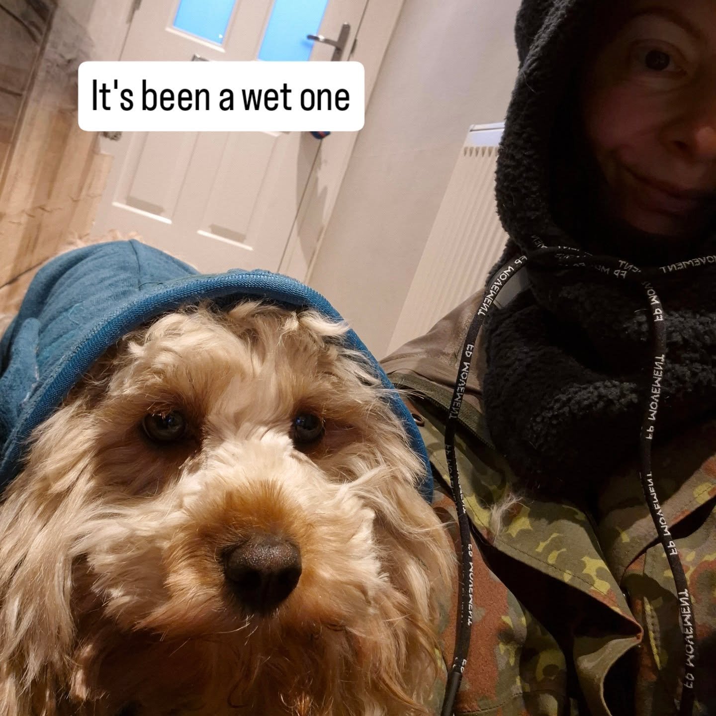 Goodbye January. 

And apologies for the power ballad....been my earworm all week. I'm getting soft.

❤️

#endofjanuary 
#beginagain