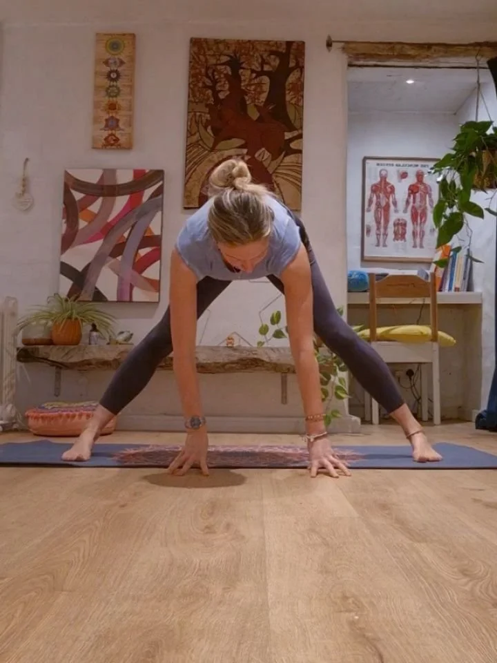 SHOULDERS! They can be really over helpful a lot of the time.....getting involved when they really don't need to - holding on and not knowing when to let go. 

These are 4 movements we've been exploring in classes recently and I'm posting this as req