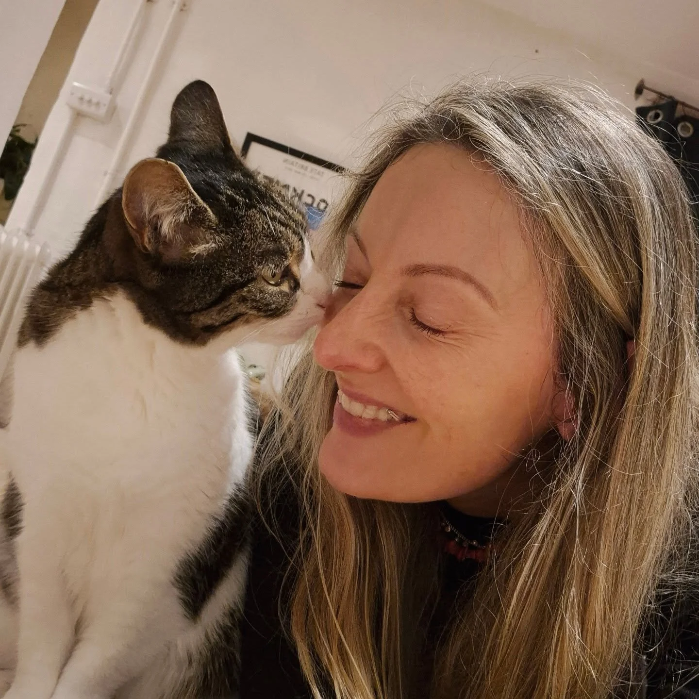After a full day of teaching, my girl Dolly came down to say hello. And wanting to be fed! 

Happy Friday. Have a great weekend ❤️

#privateyogaclass 
#yogaintheribblevalley 
#catlover❤️