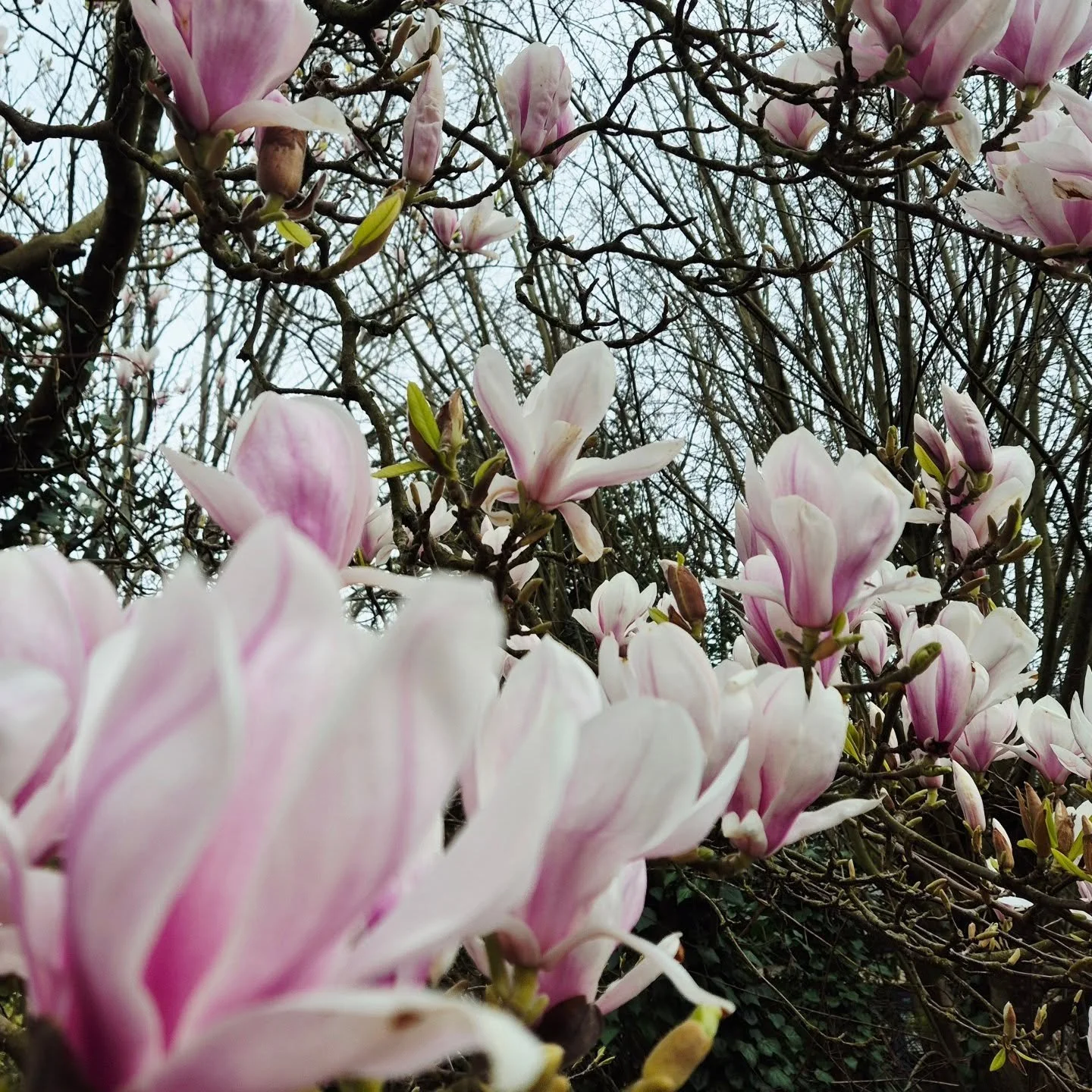 Simple moments that bring joy. That's all there really is.