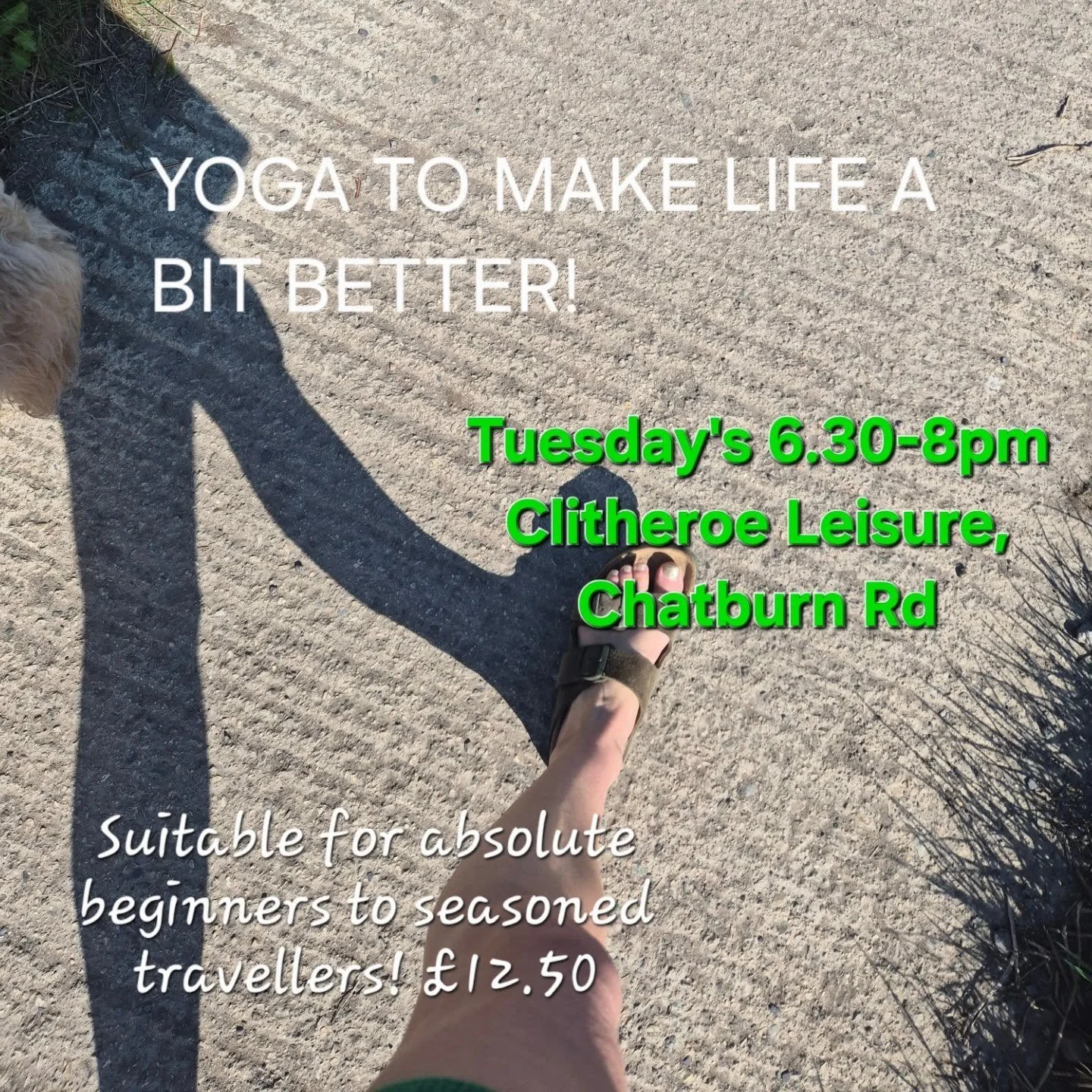 Find your stride! 
Feel stronger and more stable
Move with greater ease and comfort
Improve the quality of your sleep
Deepen your enquiry of Self

There's a lot involved in a yoga practice and it's not about how far you can stretch. It works in beaut