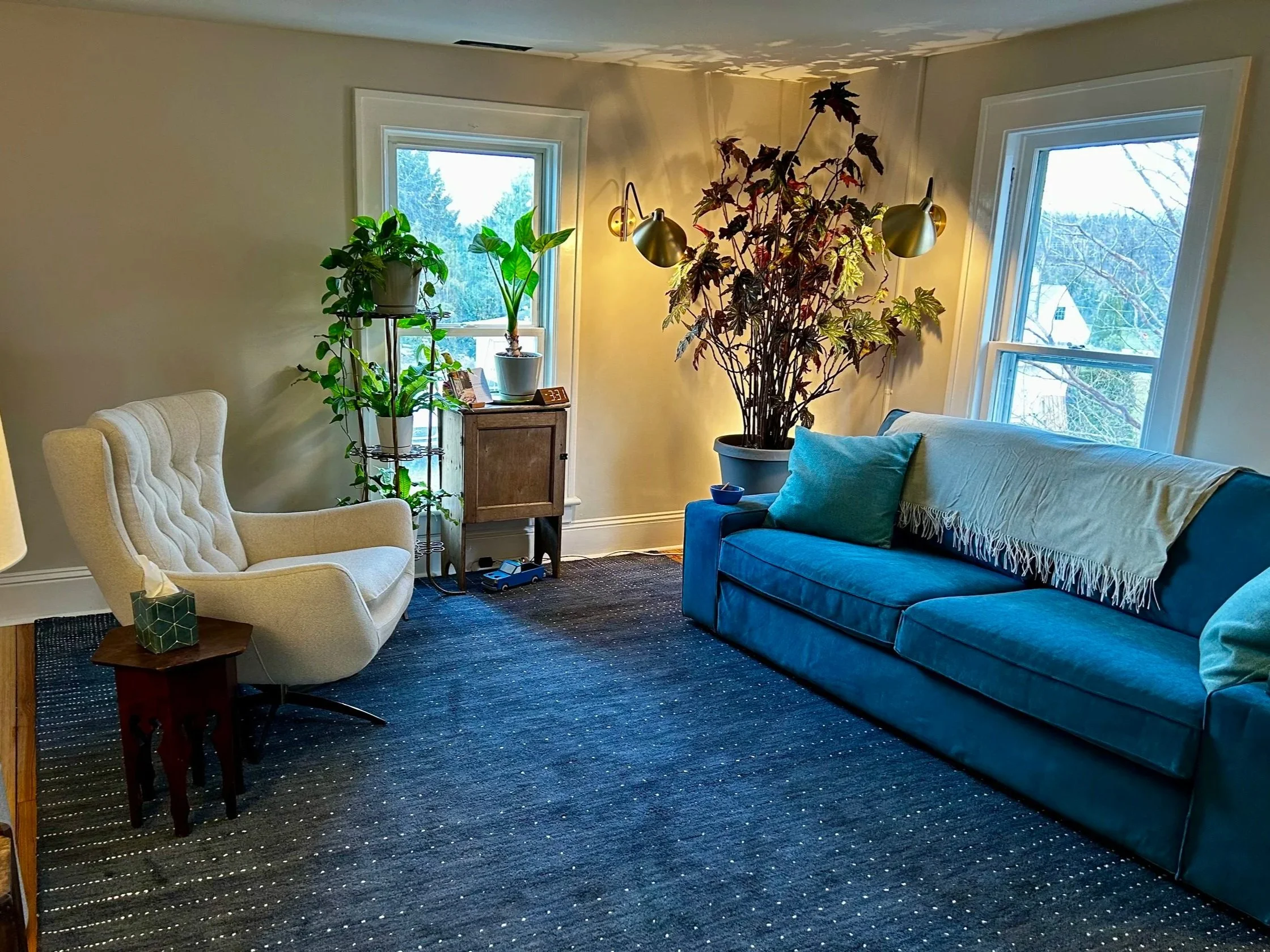 Cozy living room with a blue sofa, beige armchair, tall plants near windows, and a dark rug.