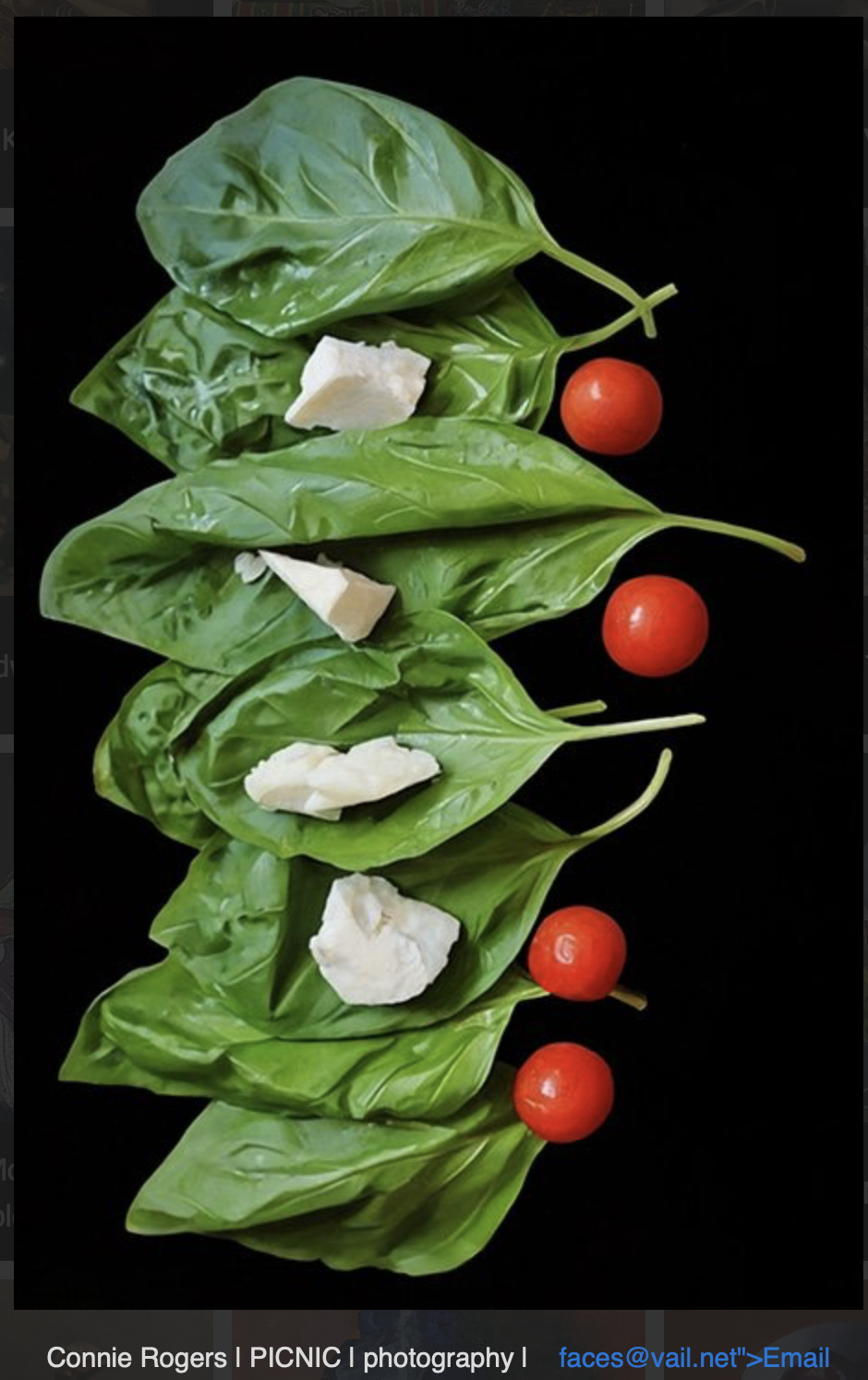 Connie Rogers picnic.png