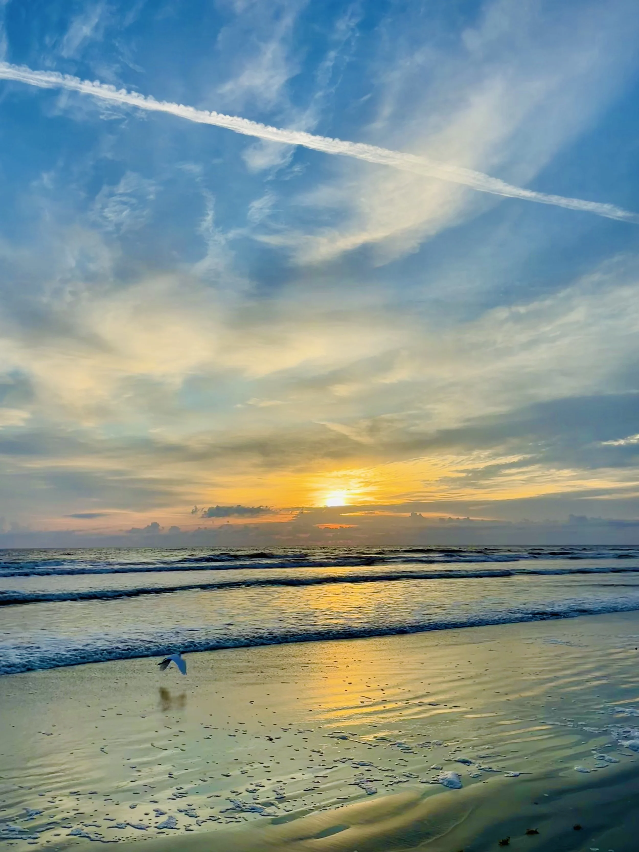 Sunrise over the ocean with beautiful cloud patterns and streaks plus a seagull flying near the water.