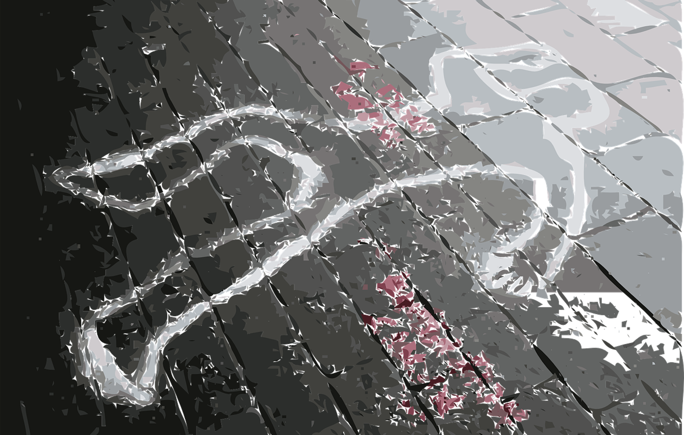 It’s Only a Local Murder. Why All the Coverage?