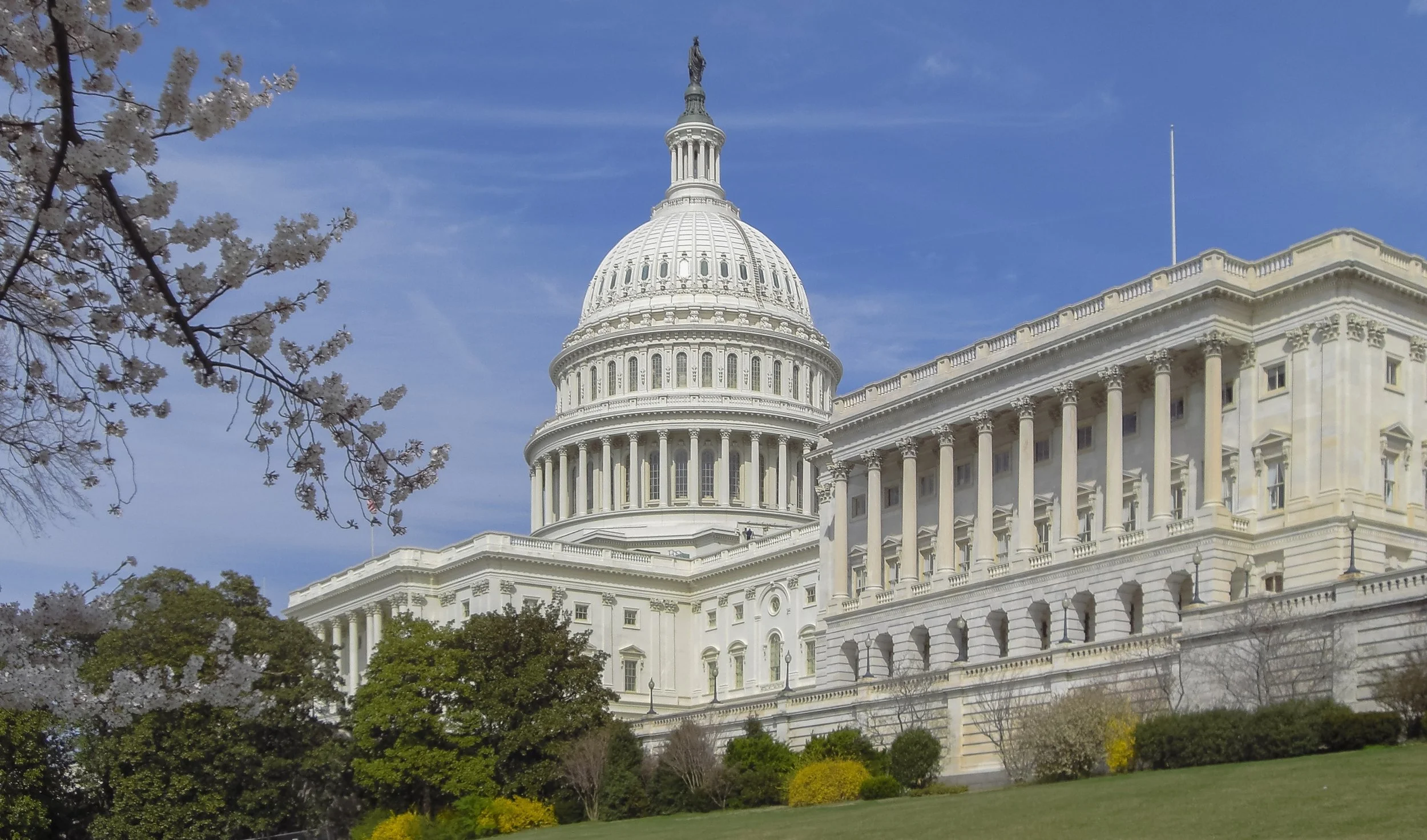 That Fed Takeover of the DC Police? It’s Kind of Our Fault…