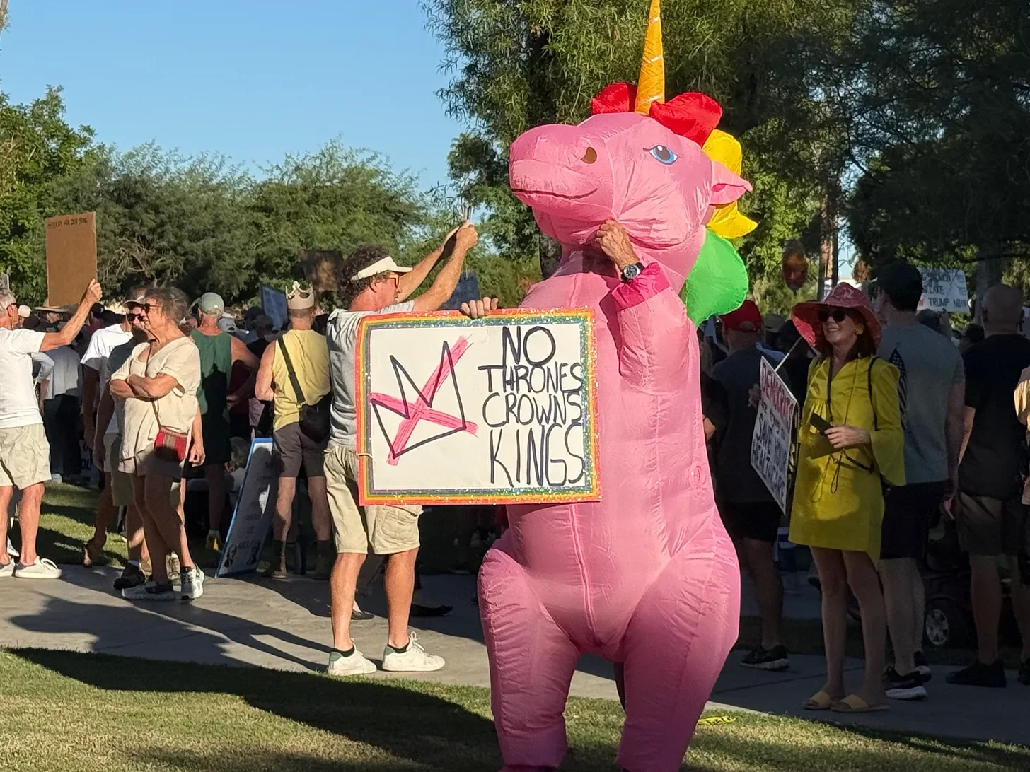 I Went to a No Kings Rally. But Should You?