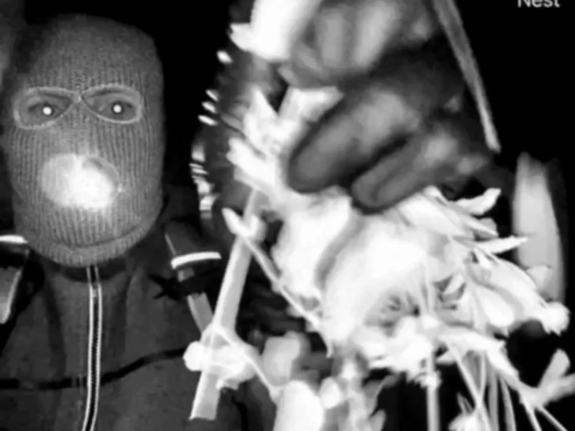 Guthrie Case Has Everything TV News Wants—And Nothing It Needs