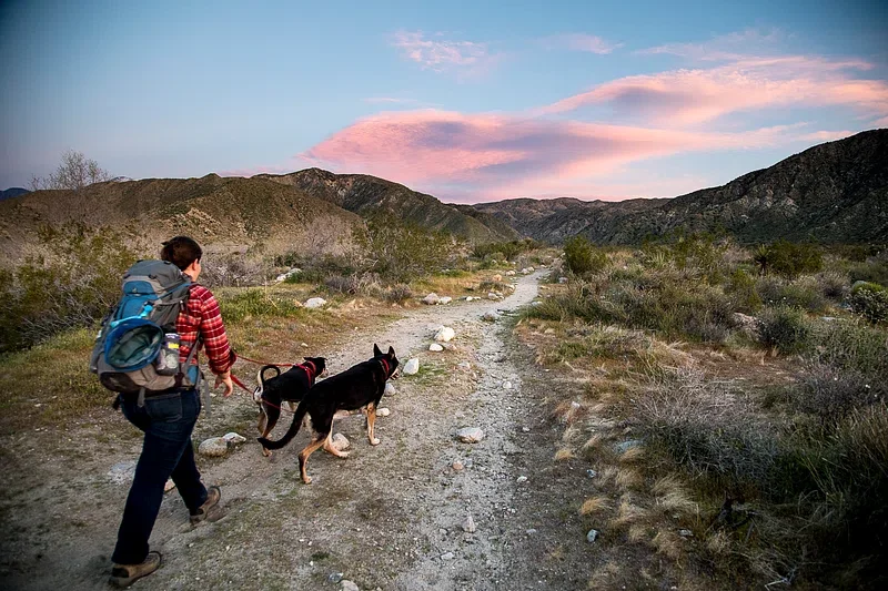 6 Trails You Can Hike In The Coachella Valley For A $1 Bus Ride From Palm Springs