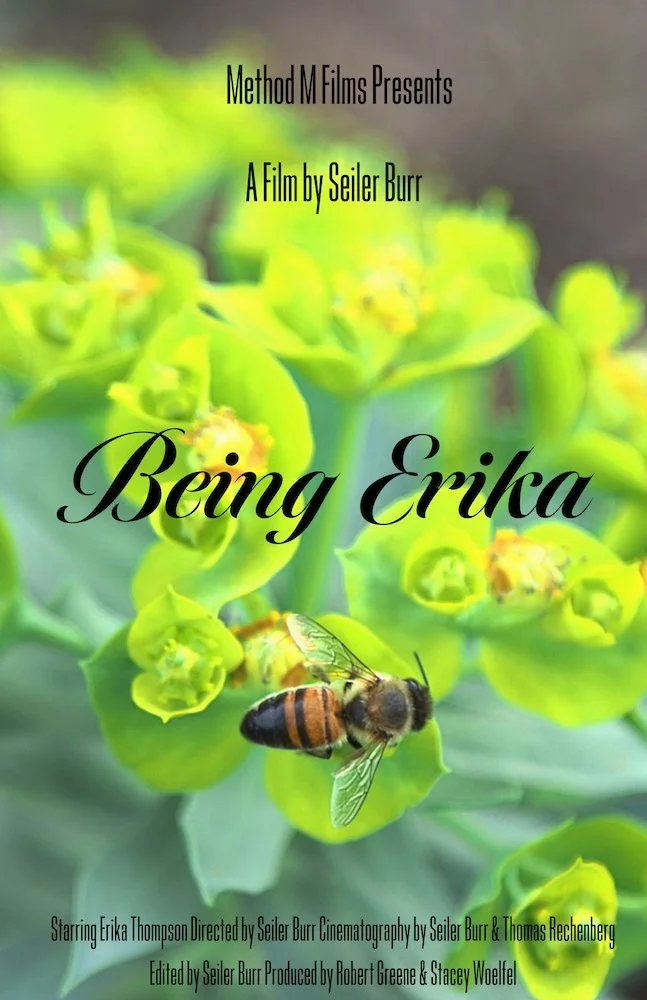 Burr - Being Erika poster.jpg