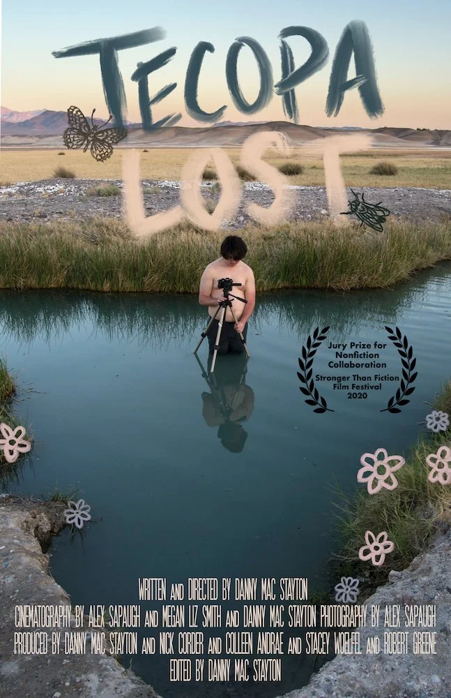 Stayton - Tecopa Lost poster with laurels.jpg