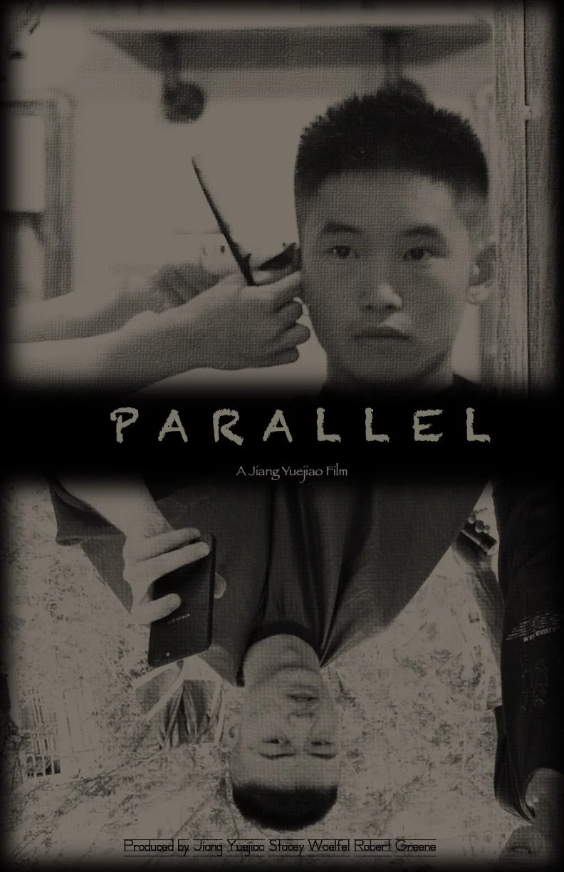 Jiang - Parallel poster.jpg