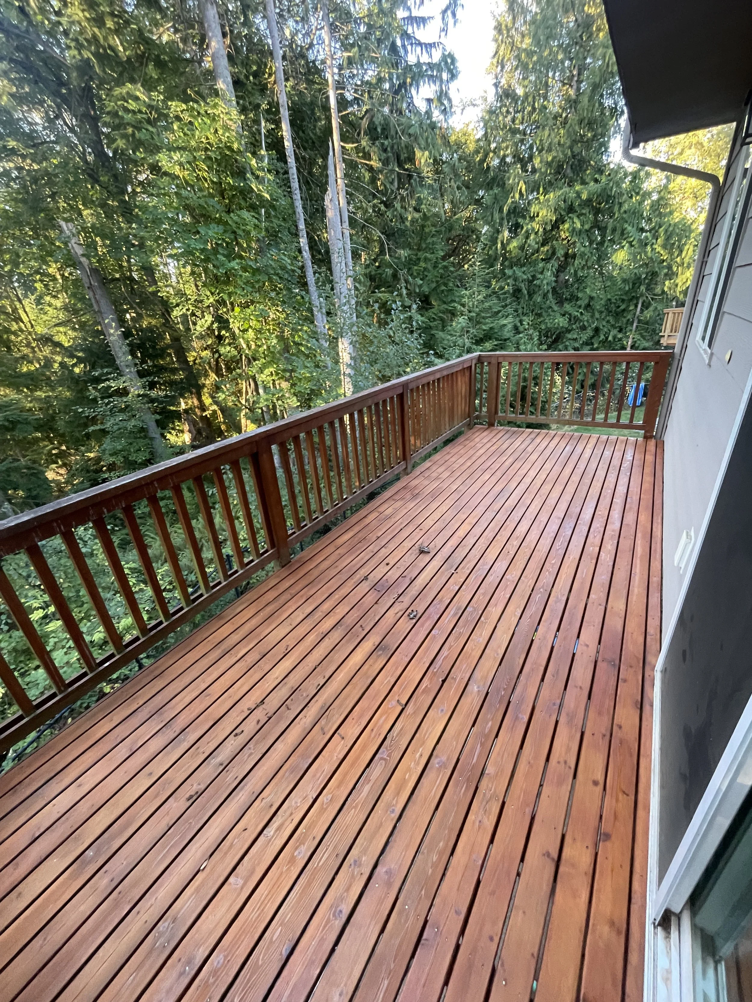 Empty wooden deck with railing, attached to a house, overlooking a forested area with tall trees.