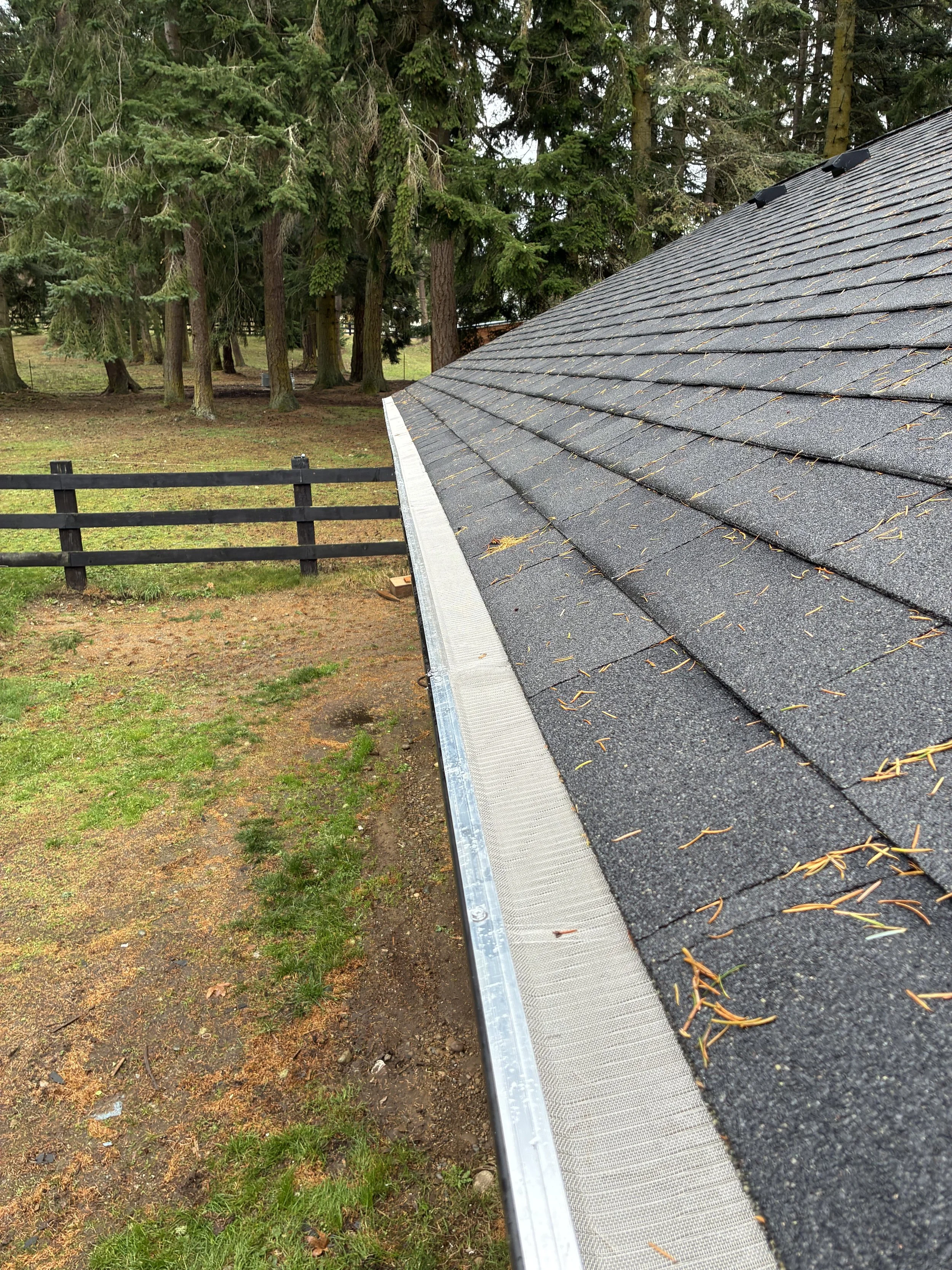 Close-up of a roof with dark shingles, leaves, and pine needles, and a metal gutter.