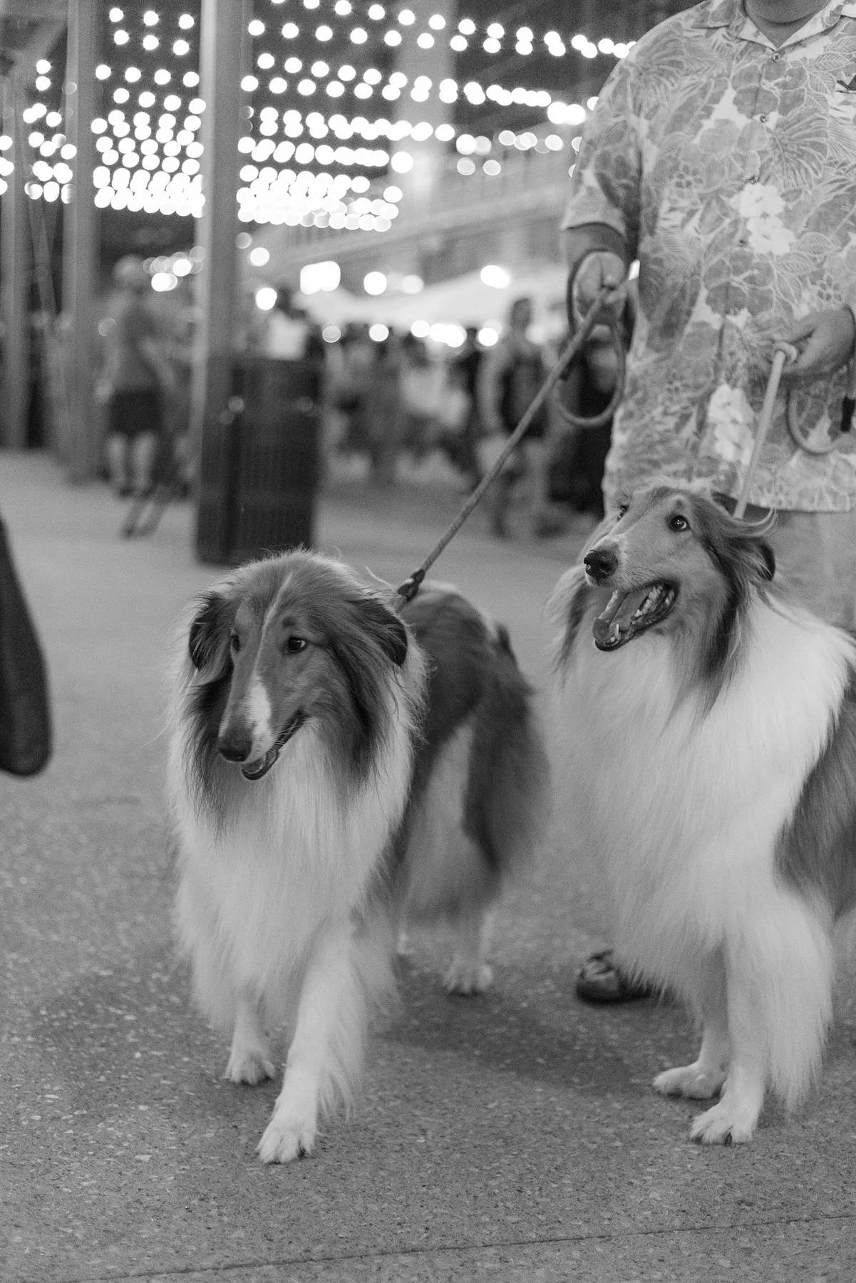 mays night market 9.23-113.jpg