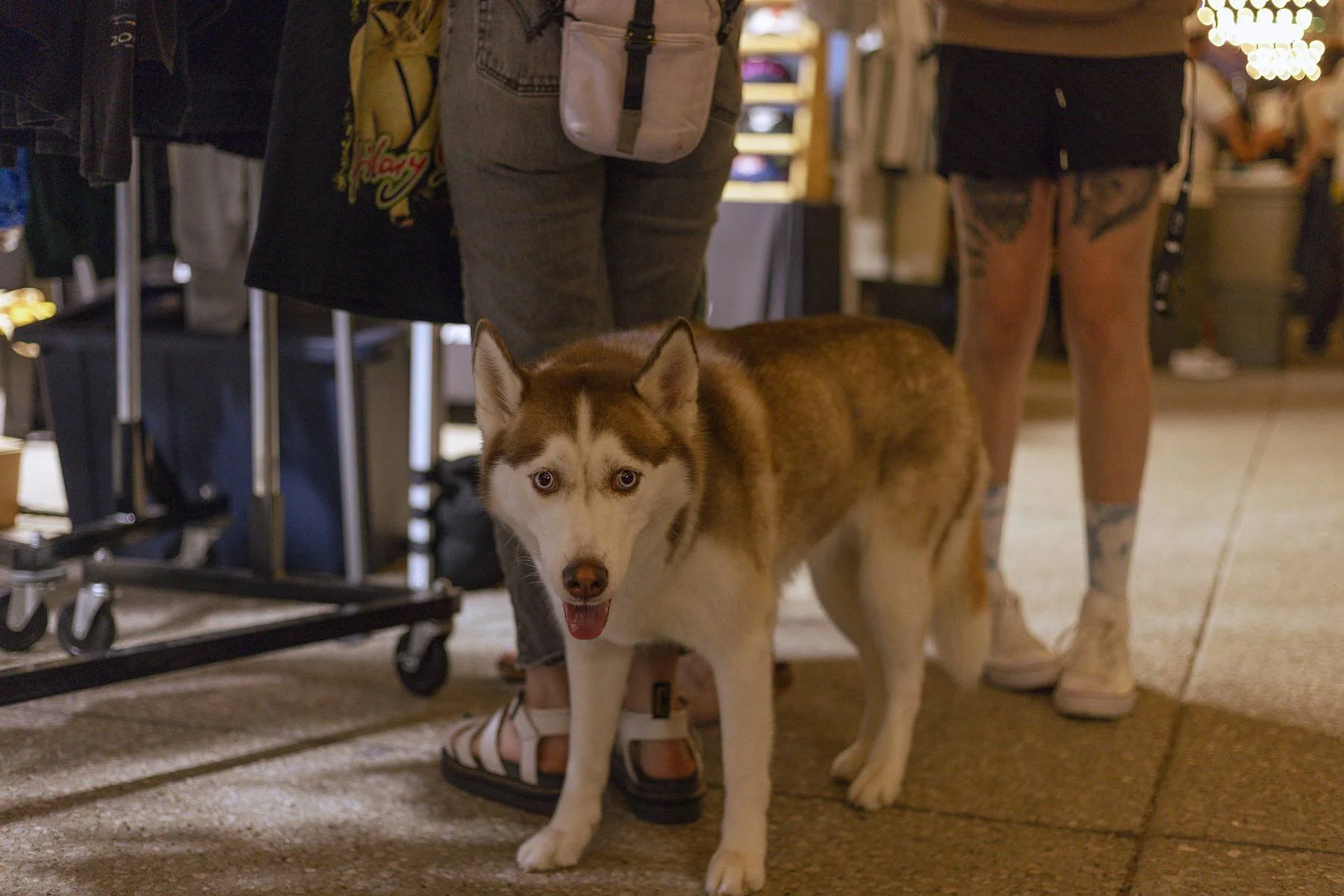 mays night market 9.23-088.jpg