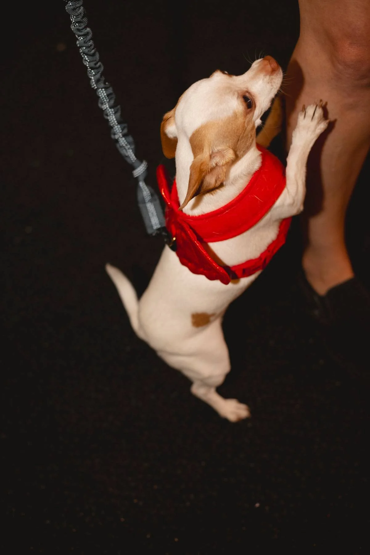 Mays Night Market 10.24-064.jpg
