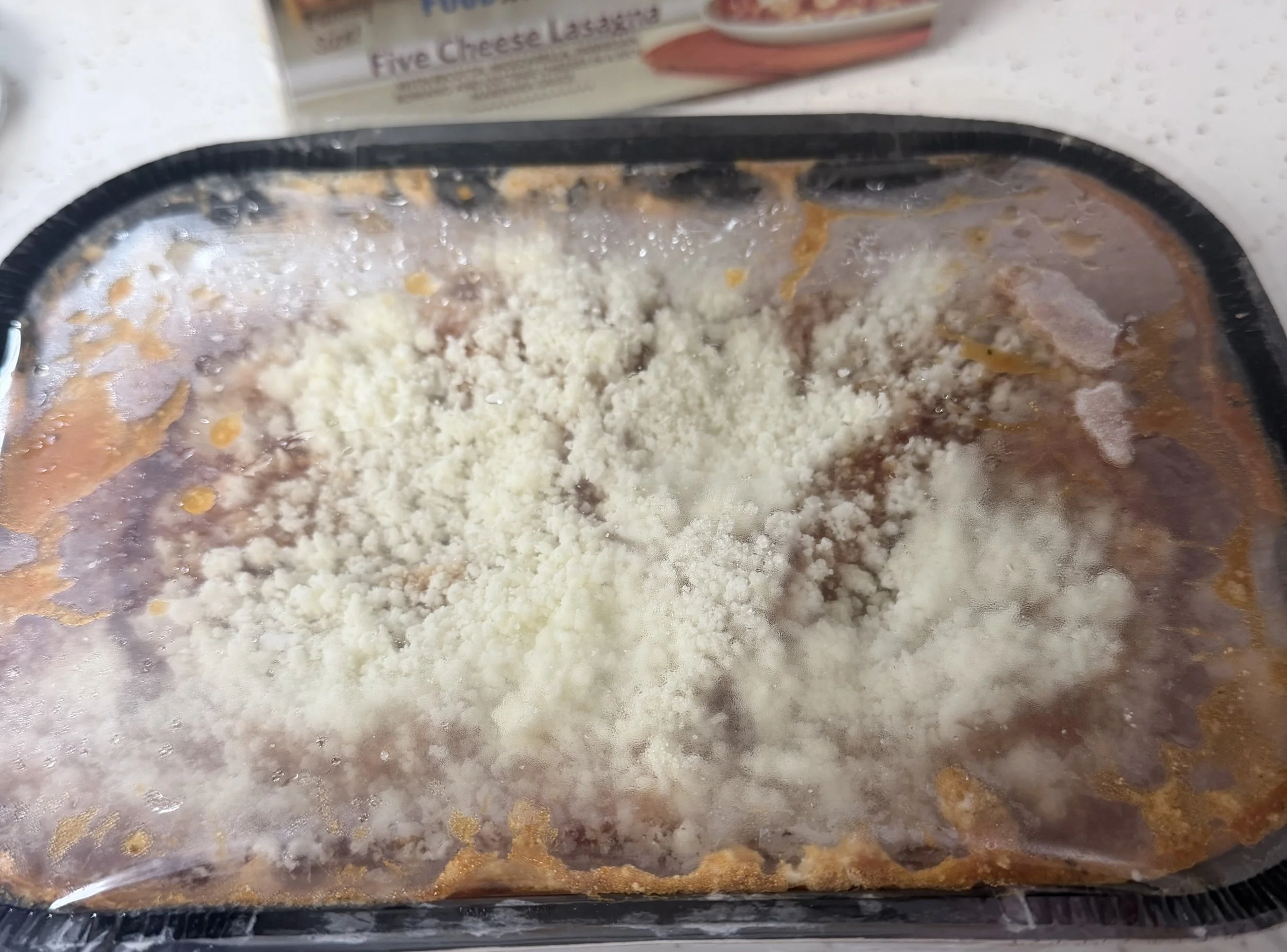 Frozen Lasagne