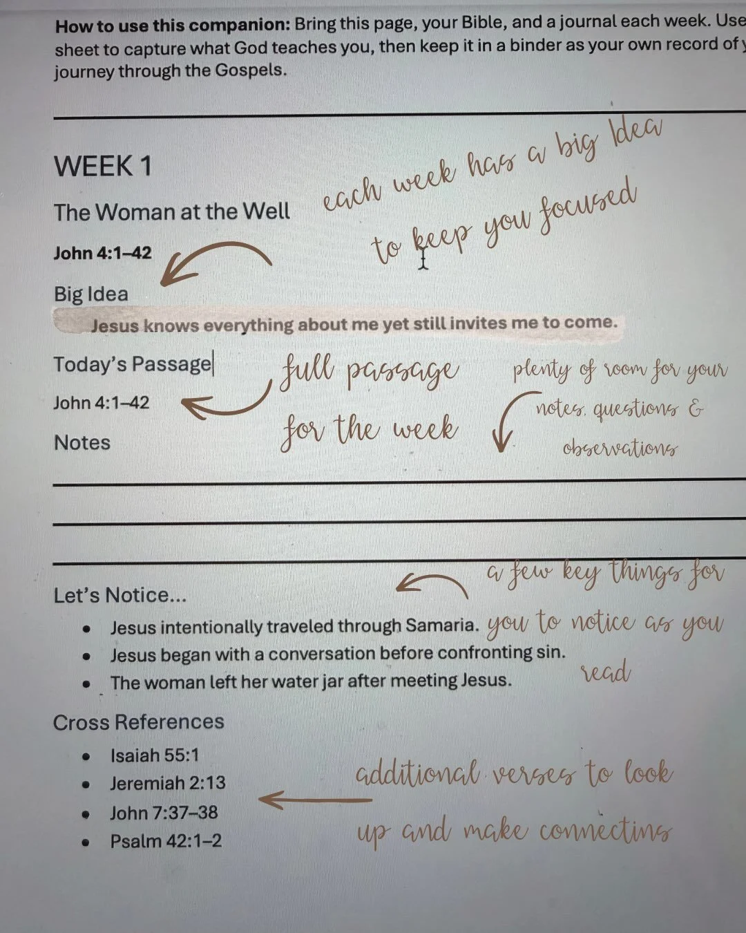 This one is for my BeLoved Bible study gals! 

I wanted to give you a little peek of the companion sheets that you will receive each week to be added to your binder (binder will be provided for you, to be brought back each week). 

And here&rsquo;s t