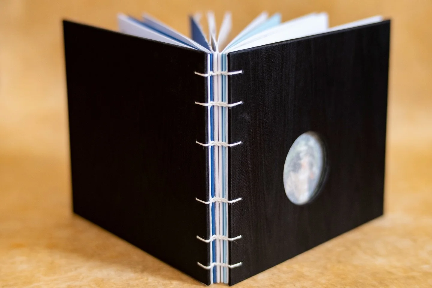 After months of work, our first handmade artist book is now available. 
Light | Water | Life is a hand-bound edition of 25 copies, printed and assembled by us in Pittsburgh. You can explore the project through the link in our bio.
.
.
.
.
.
.
#artist
