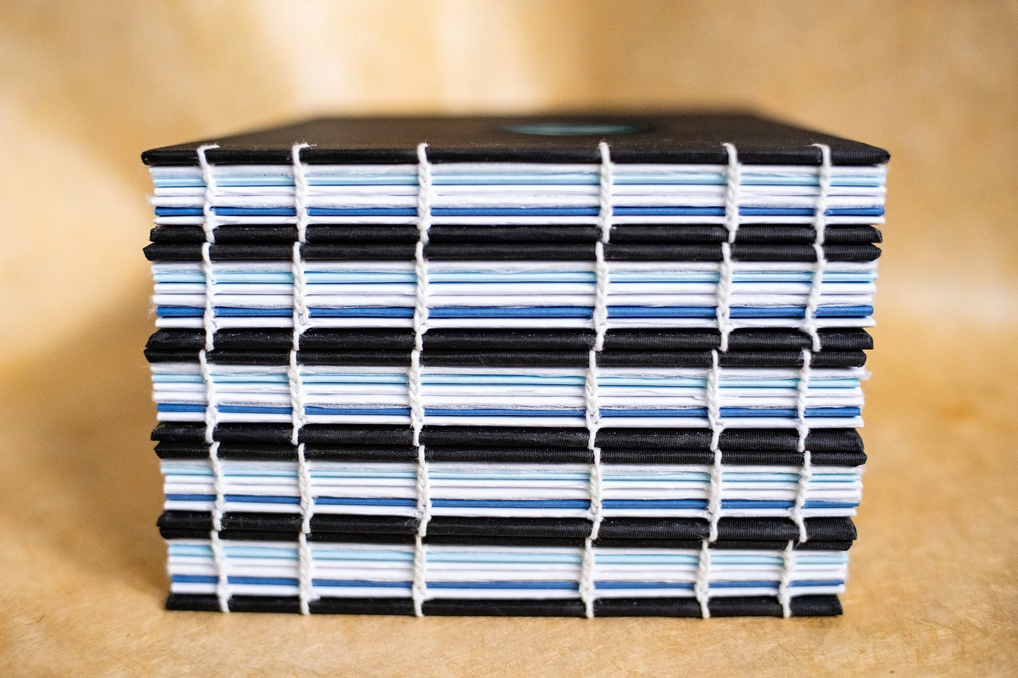 Light Water Life Books.jpg