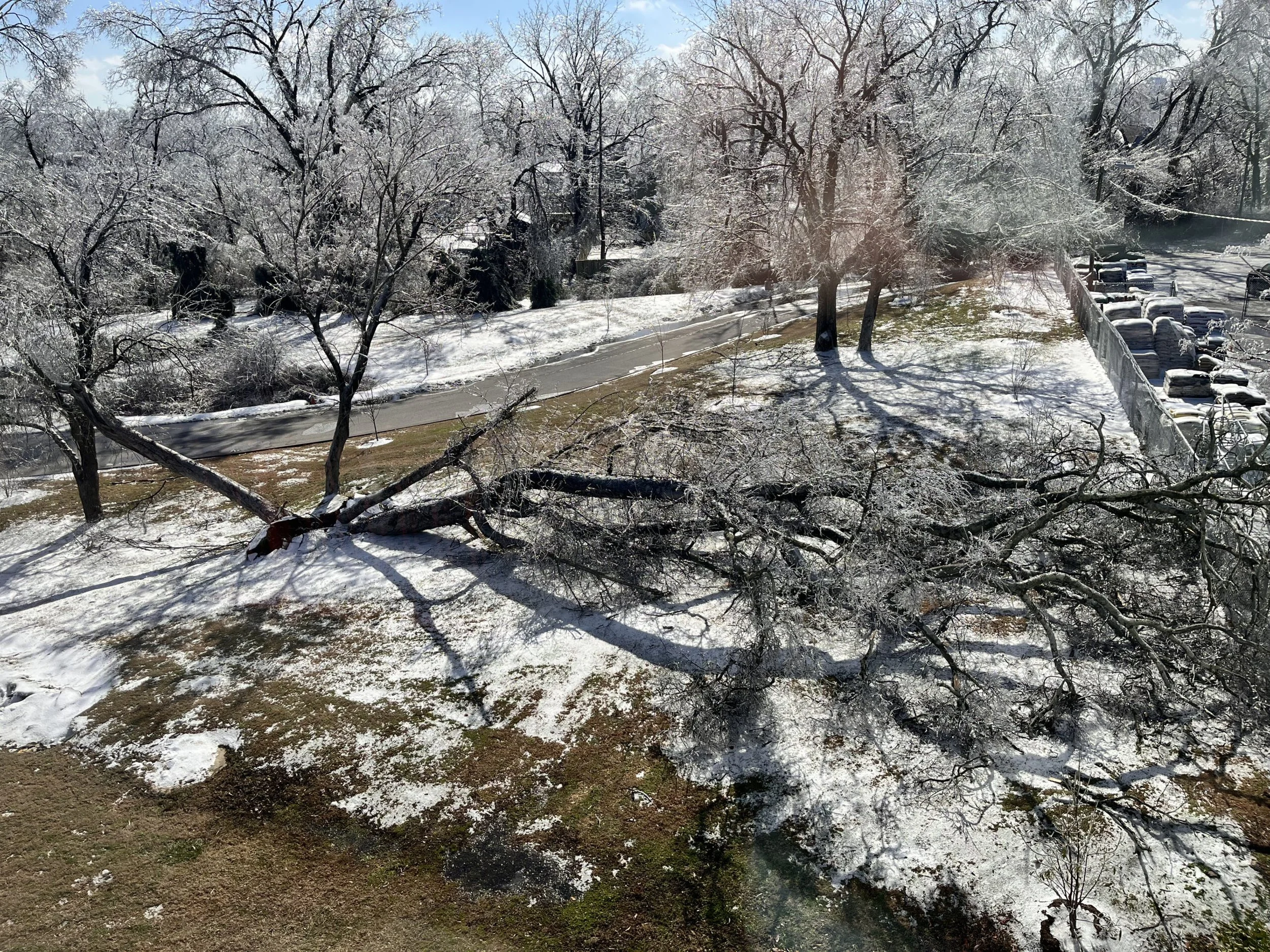 When the World Went Silent: Living Through the Nashville Ice Storm