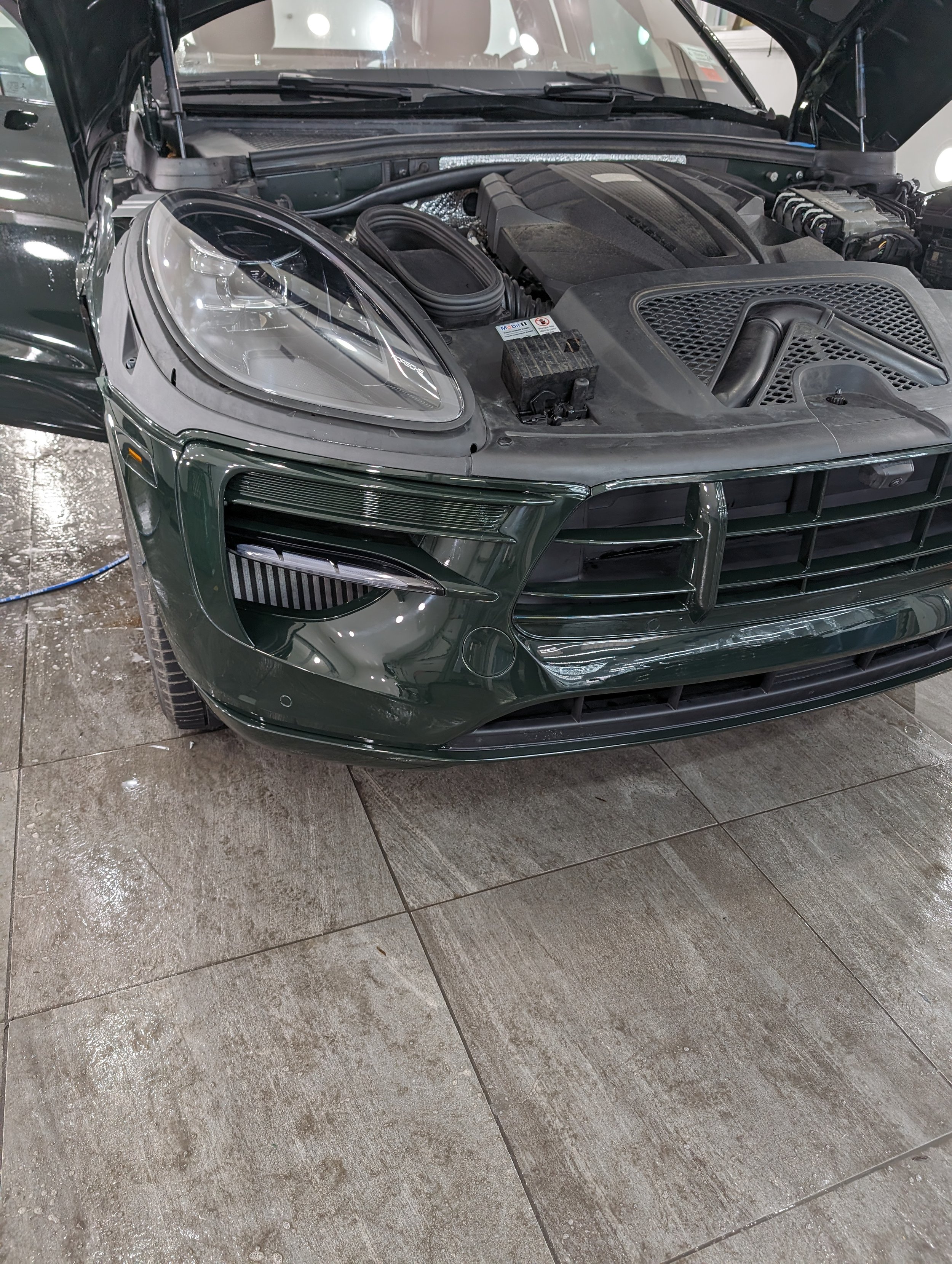 Car with open hood showing engine and headlight