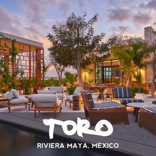 TORO: RIVIERA MAYA, MX