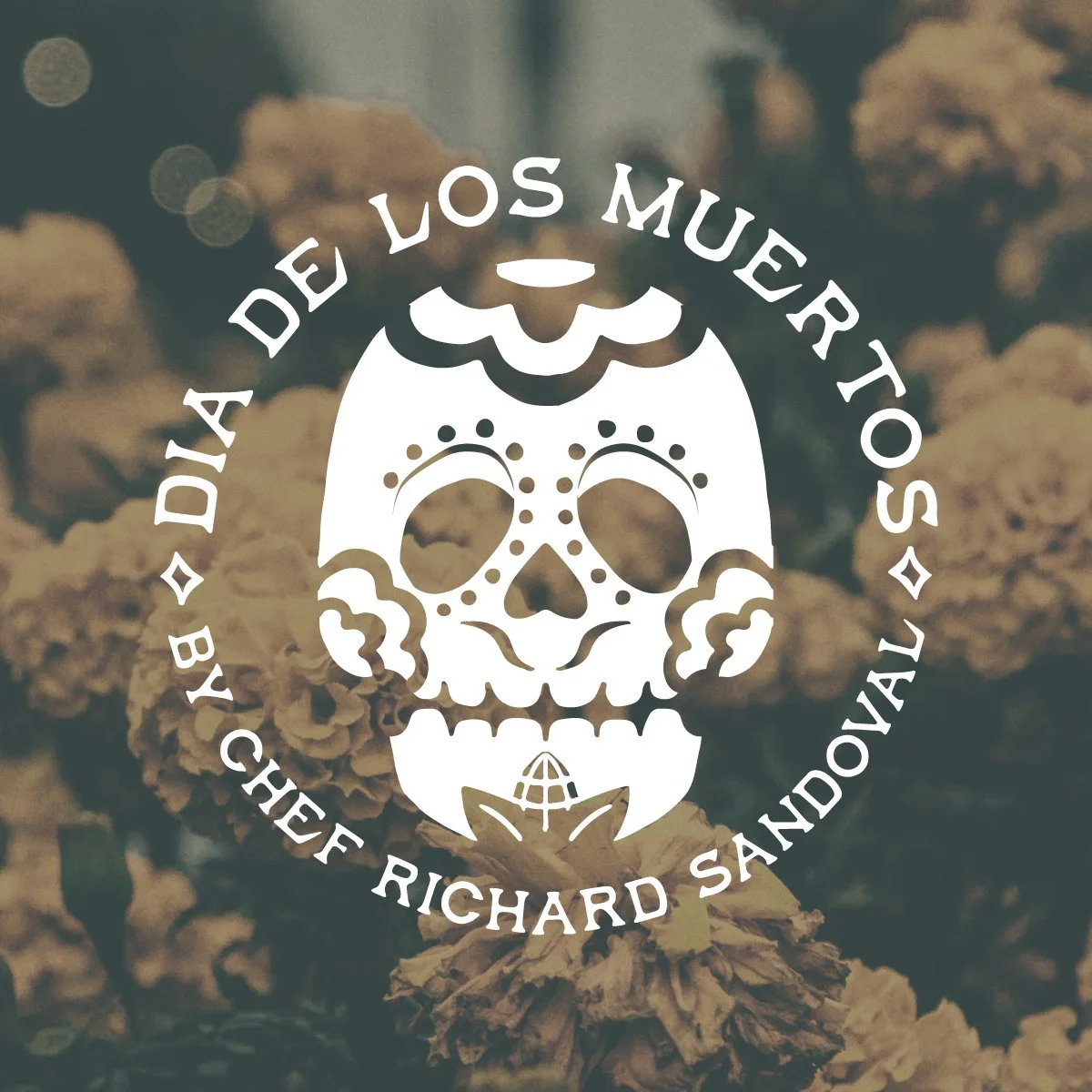 DDLM24_Spotify_Cover.jpg