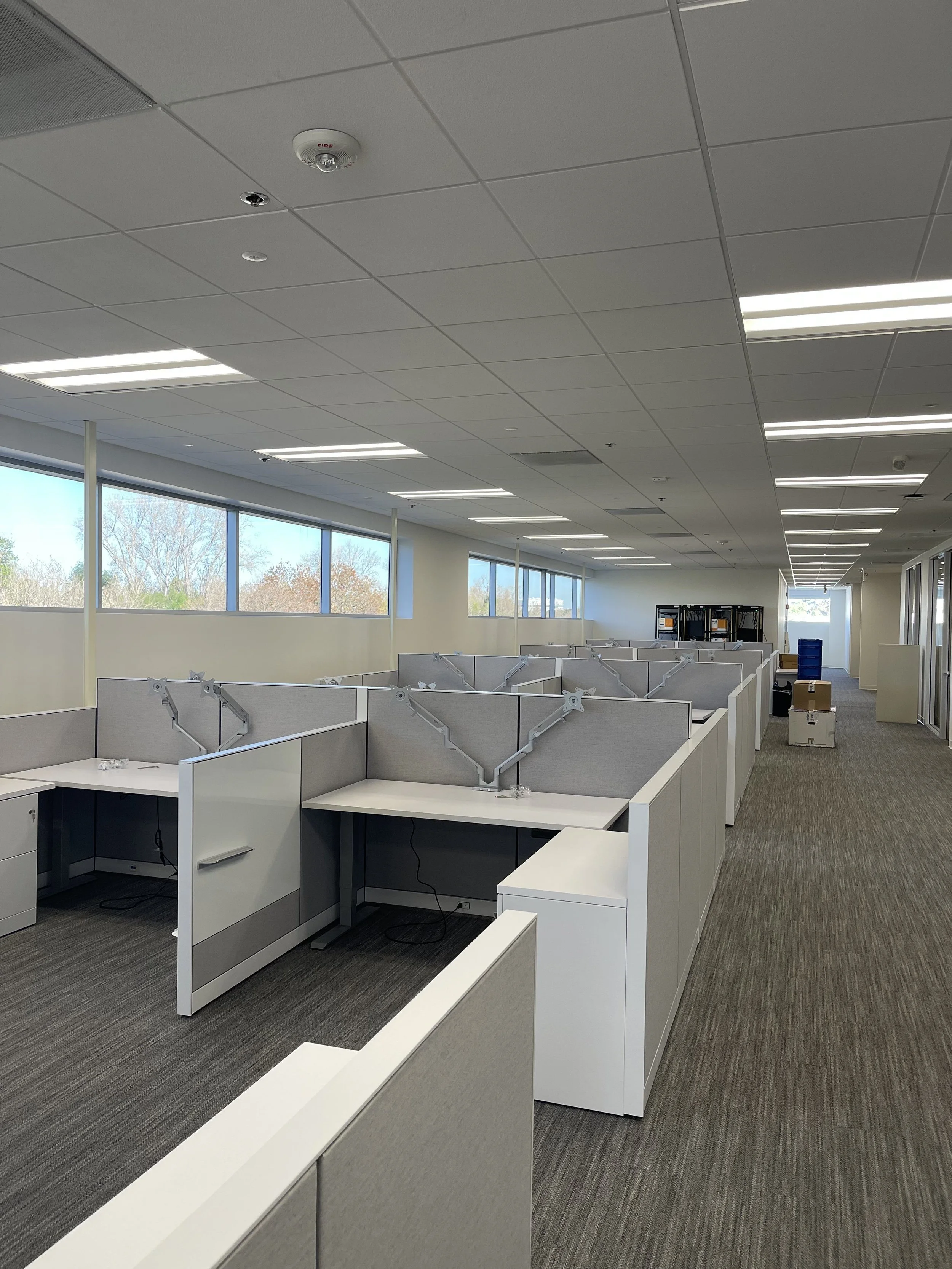 Empty office space with cubicles, windows along the side, and overhead fluorescent lighting.