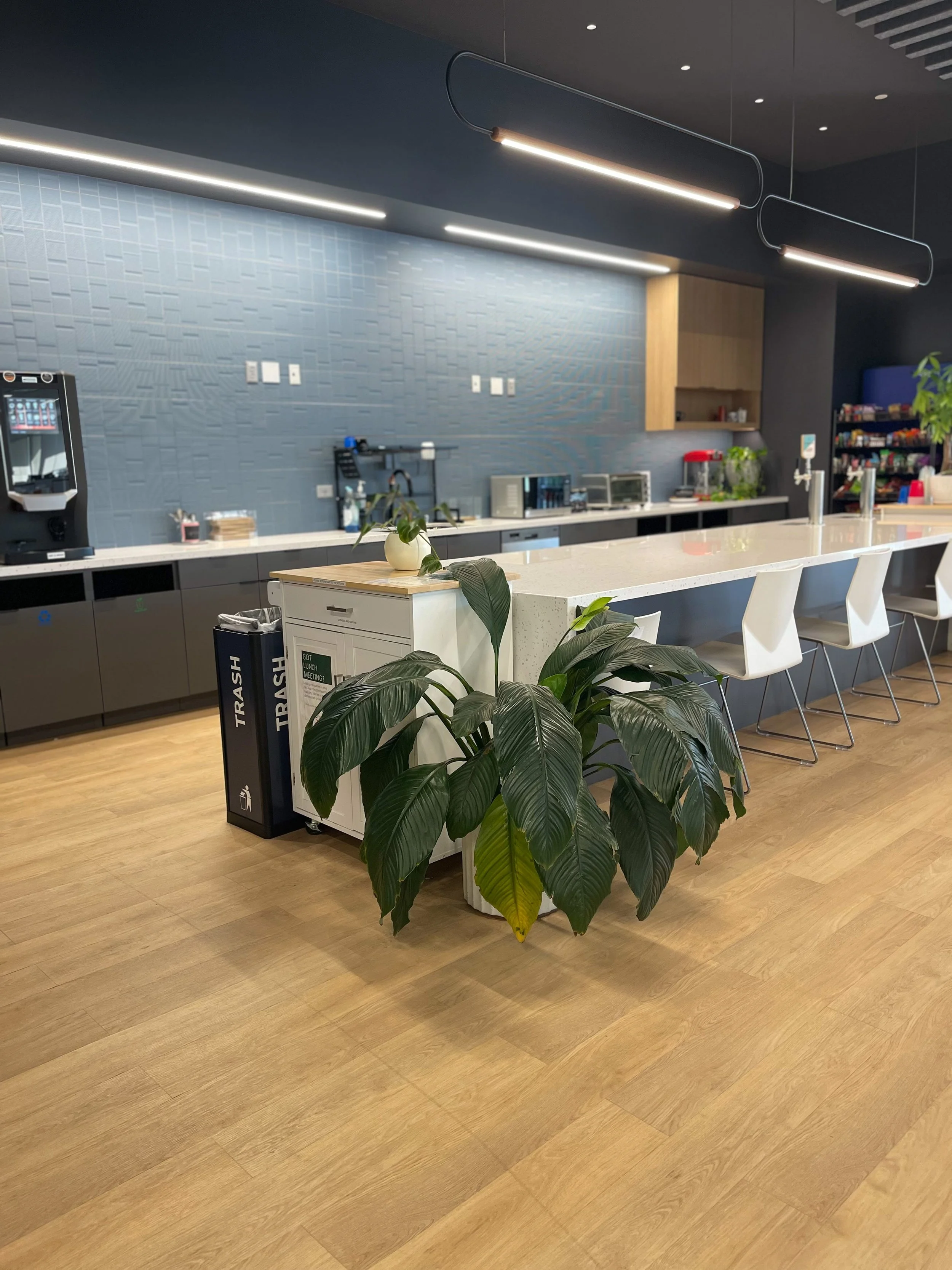 Modern office kitchen with a white countertop, bar stools, a coffee station, and green plants.