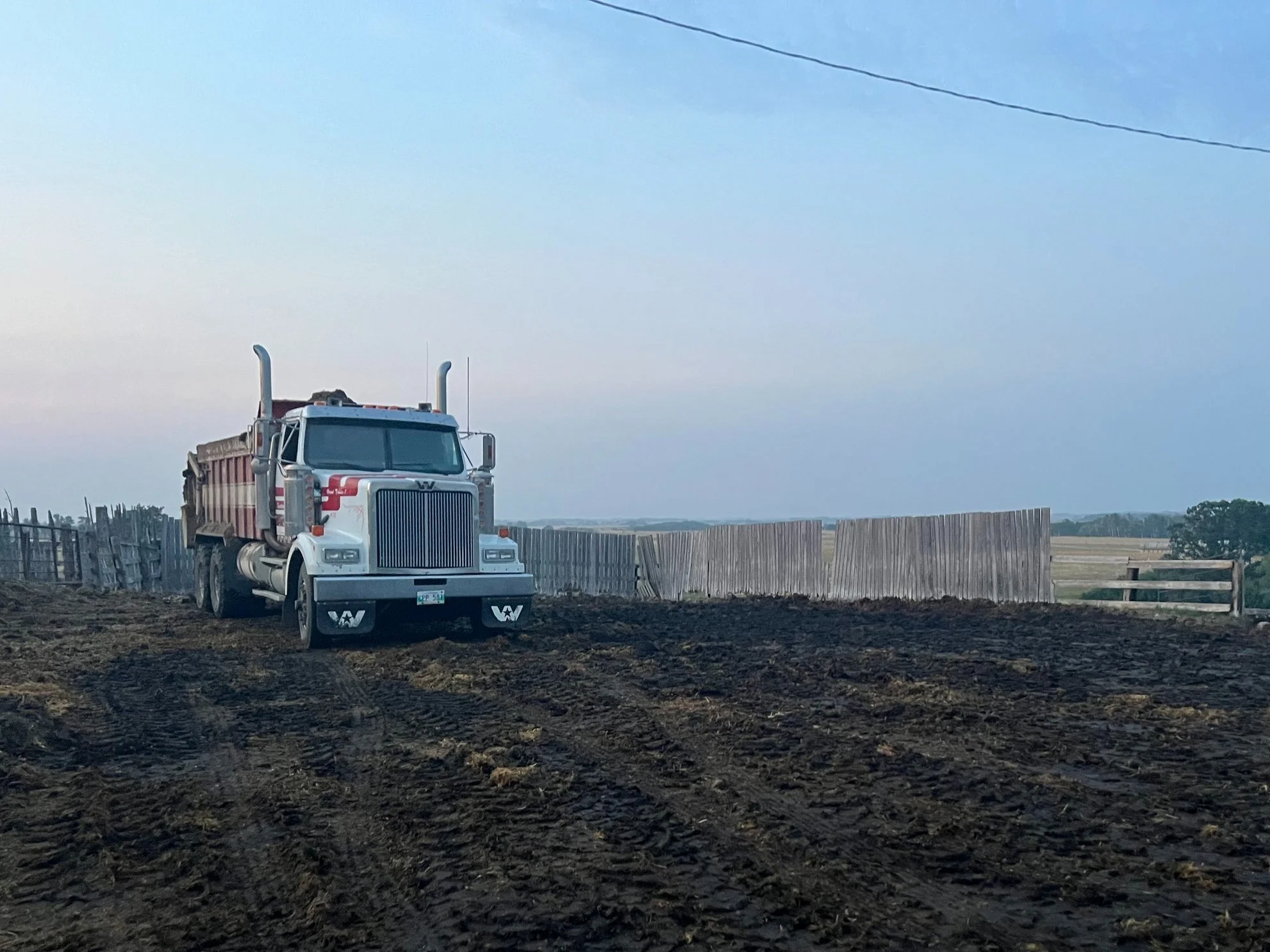 A large white and red manure spreader truck parked on the clean dirt inside a cattle pen that was just cleaned with a wind break cattle fence in the background.