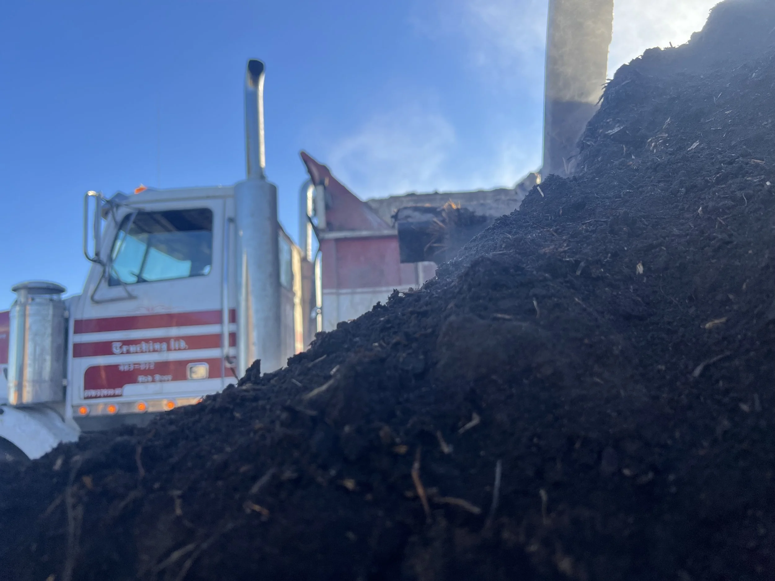 Close-up of dark rich composted manure ready to be spread on the soil, with a large manure spreader truck in the background, seen from a low angle during daylight.