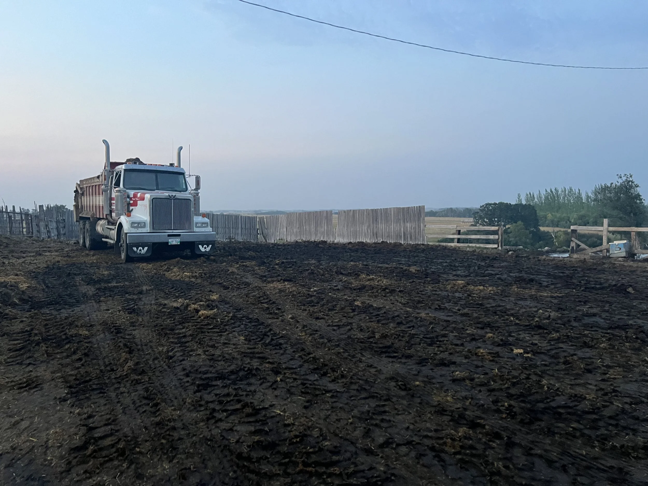 A white and red dump truck on a dirt road in a rural area with a wooden fence and trees in the background.