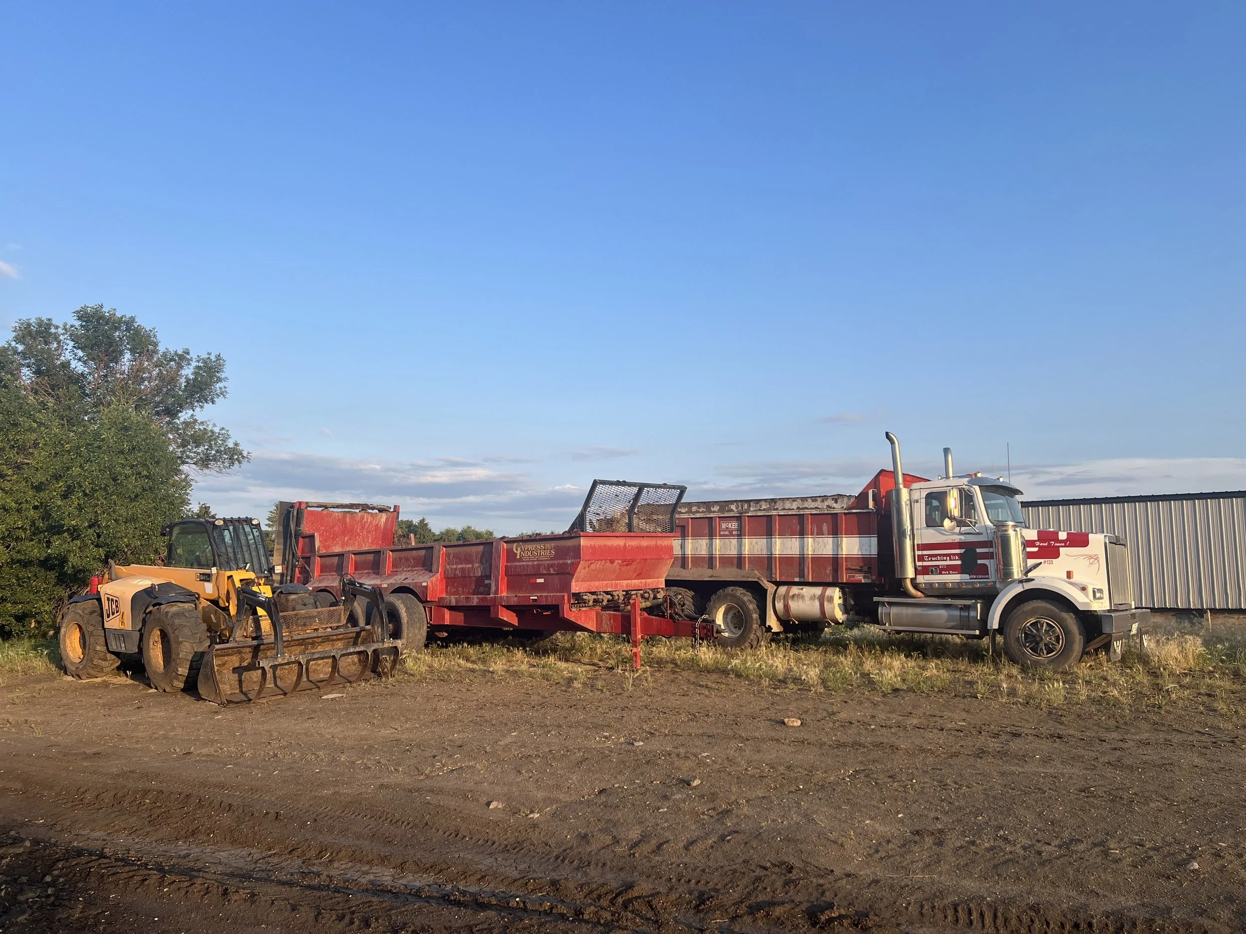 A large white and red semi-truck with a black dump trailer attached parked on dirt ground, with a yellow JCB backhoe loader nearby, and trees in the background under a clear blue sky.
