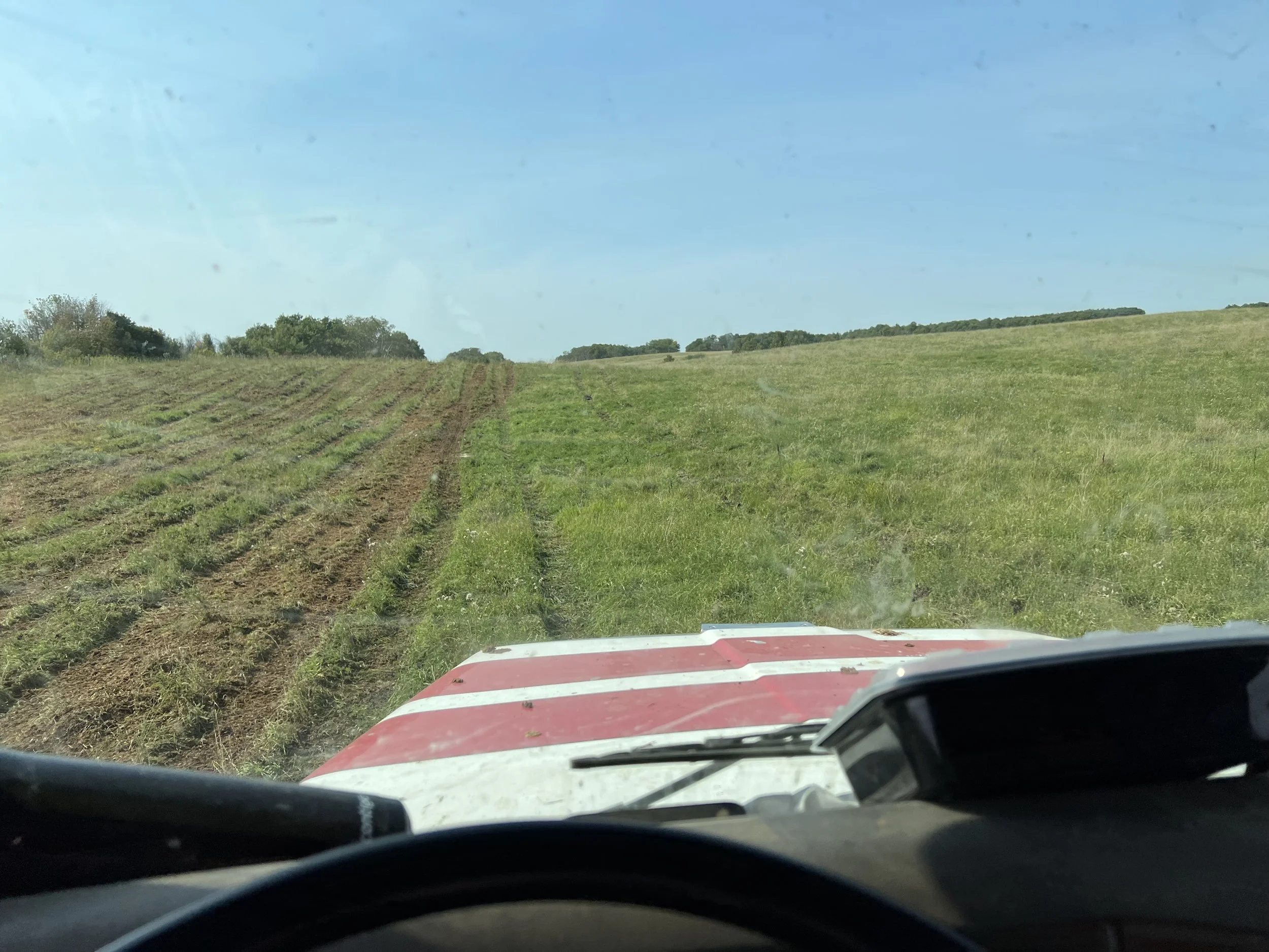 View from inside a vehicle showing a grassy field with tire tracks, on a clear sunny day with blue sky.