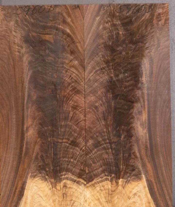 Crotch walnut