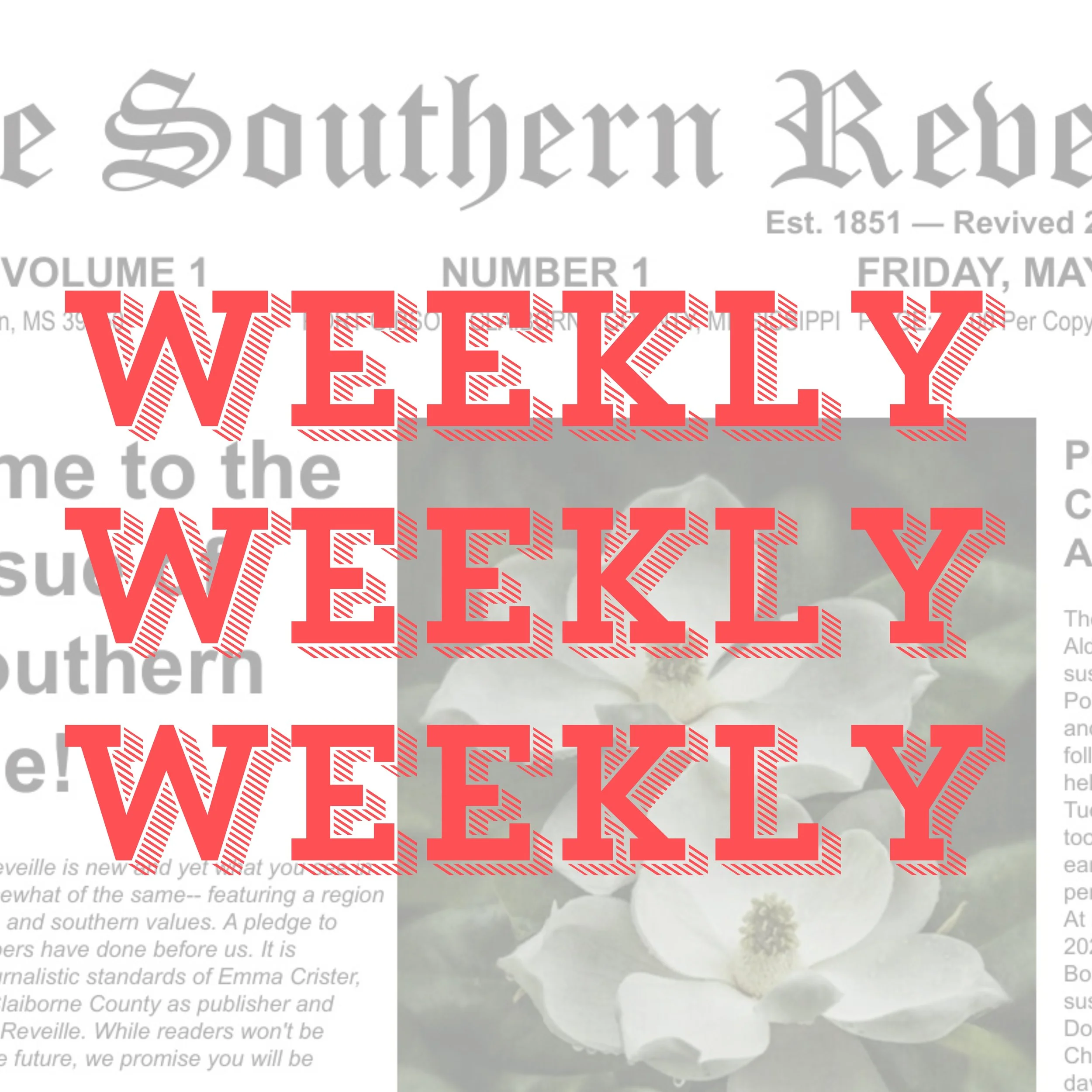 TSR - subscription - square.jpg