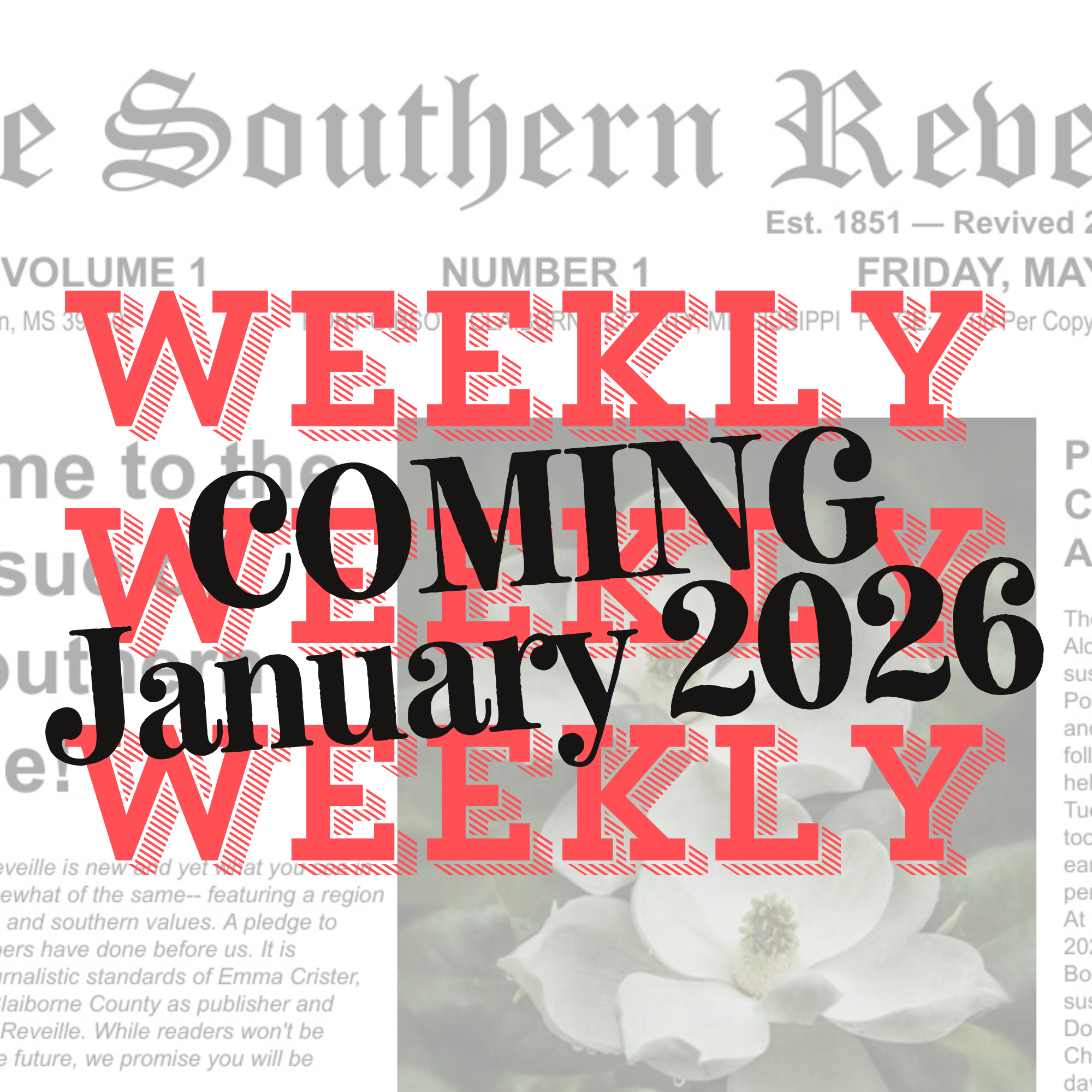 Mandeville First - Subscription — The Southern Reveille