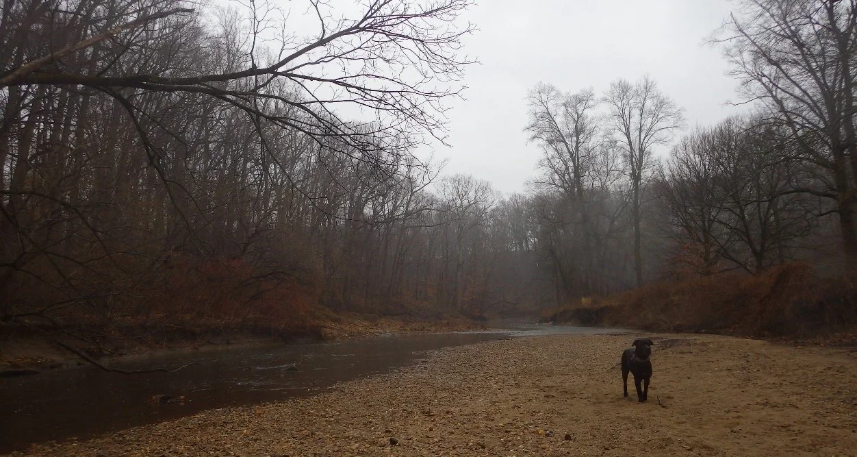 Mist of the Morn.jpg