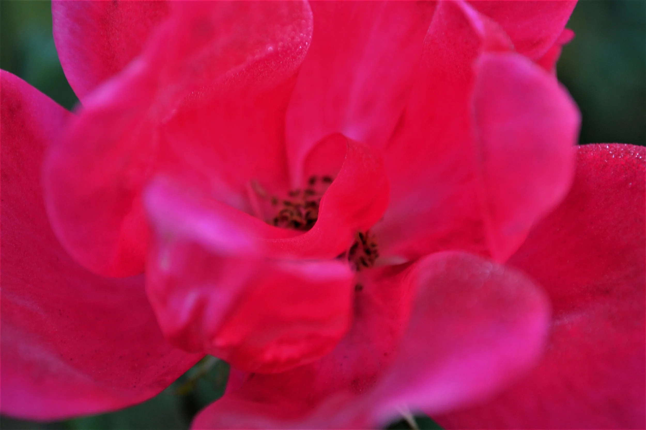 DSC_0081.jpg