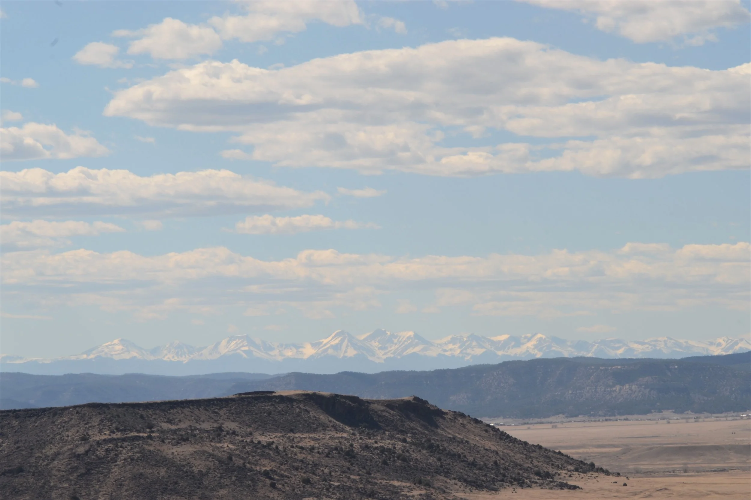 DSC_0048.jpg