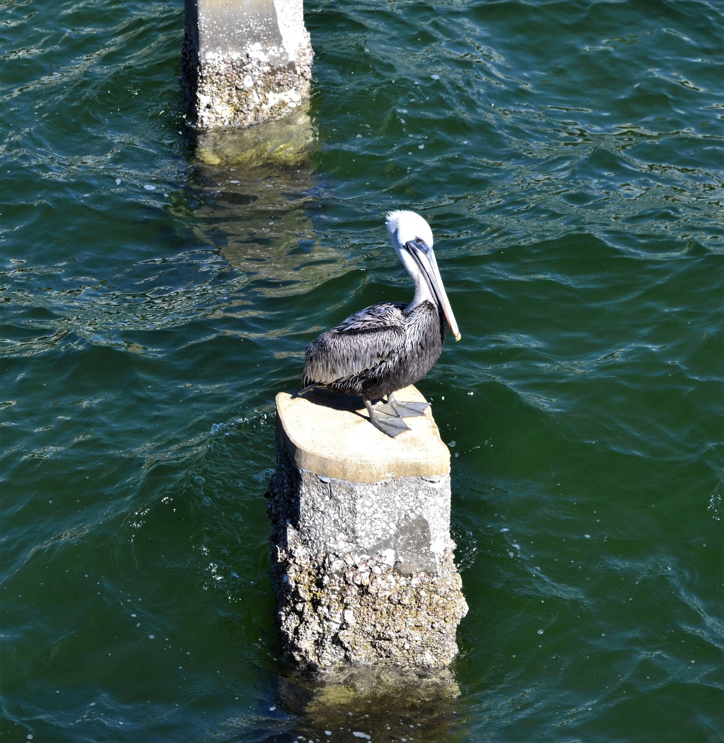 DSC_0060.jpg