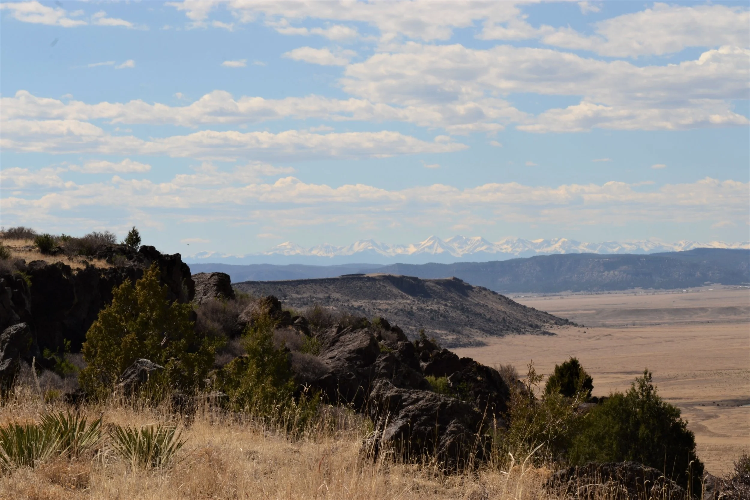 DSC_0043.jpg