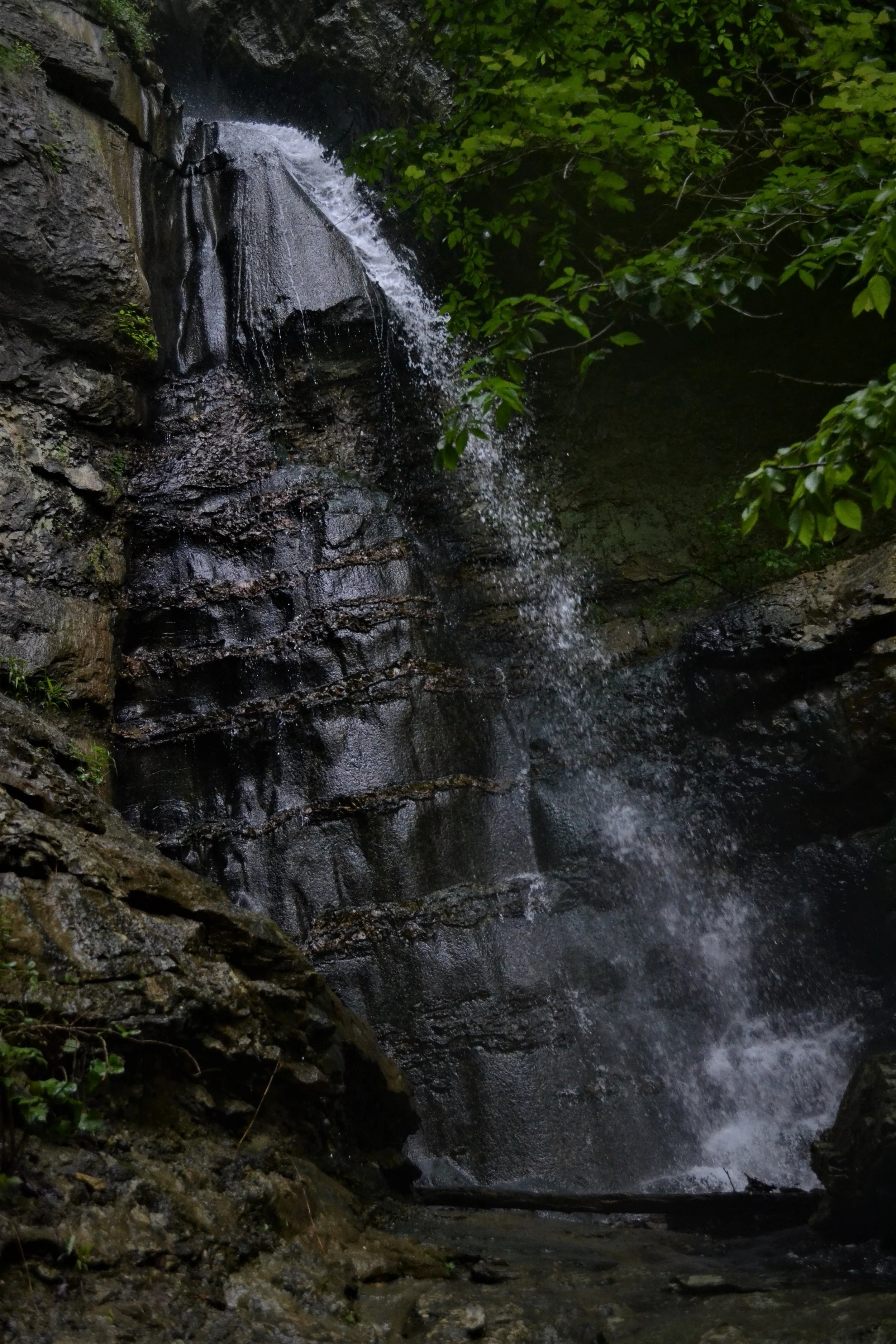 DSC_0515.jpg
