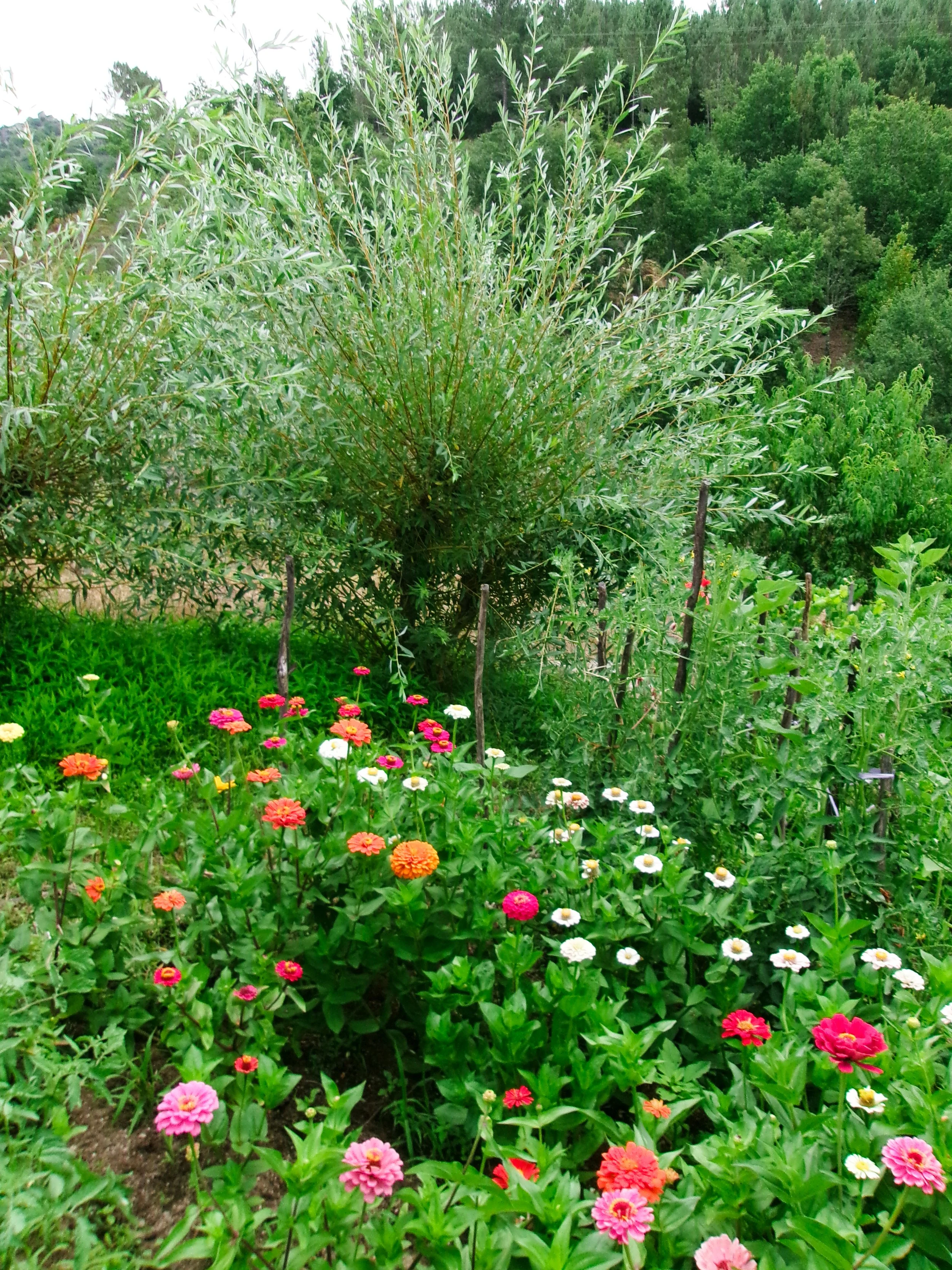 100_2308.jpg
