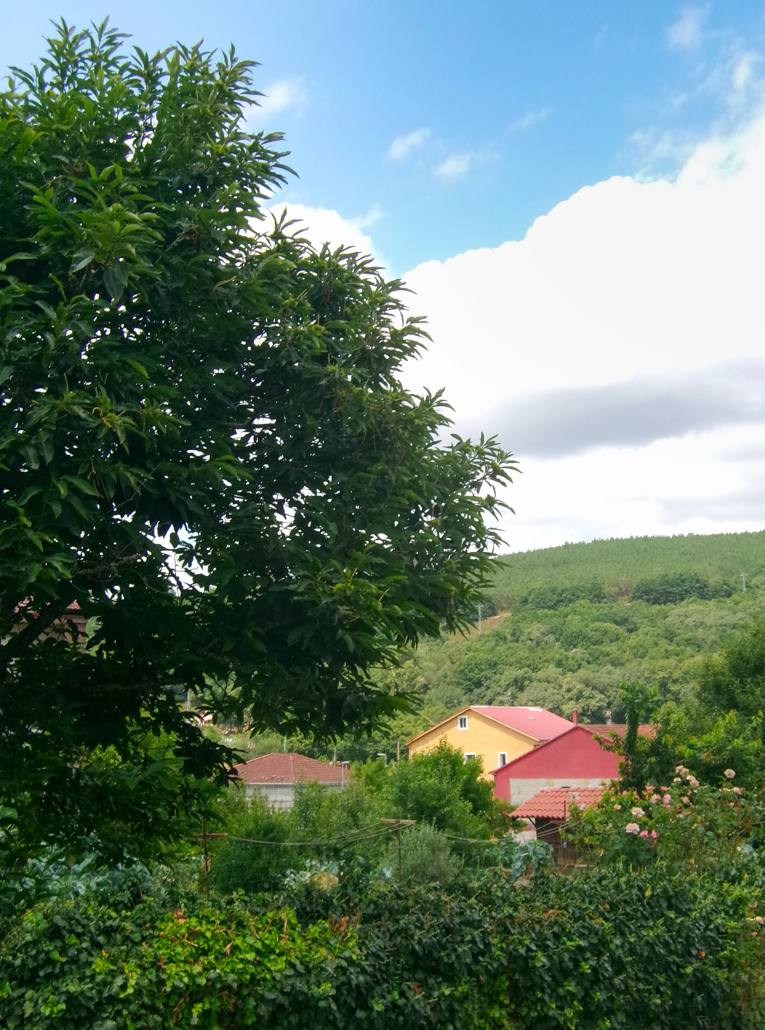 100_2296.jpg
